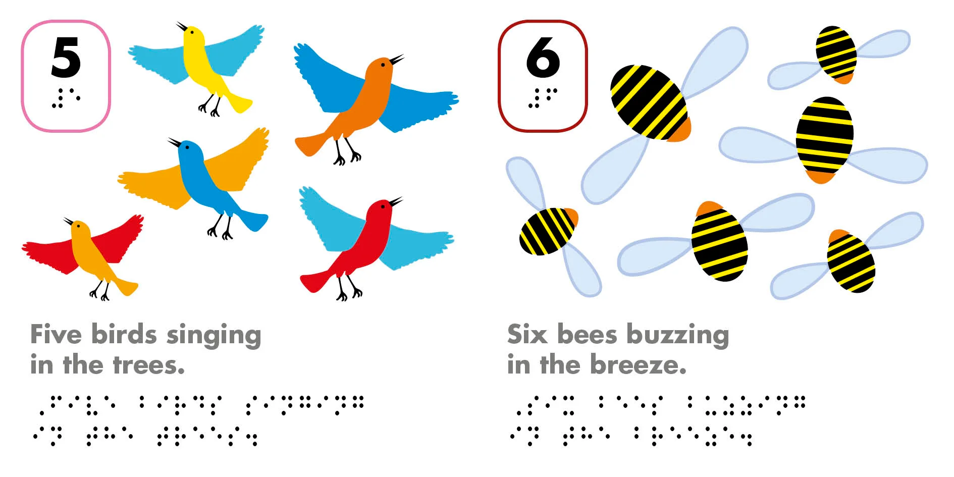 DK Braille: Counting - Image 2