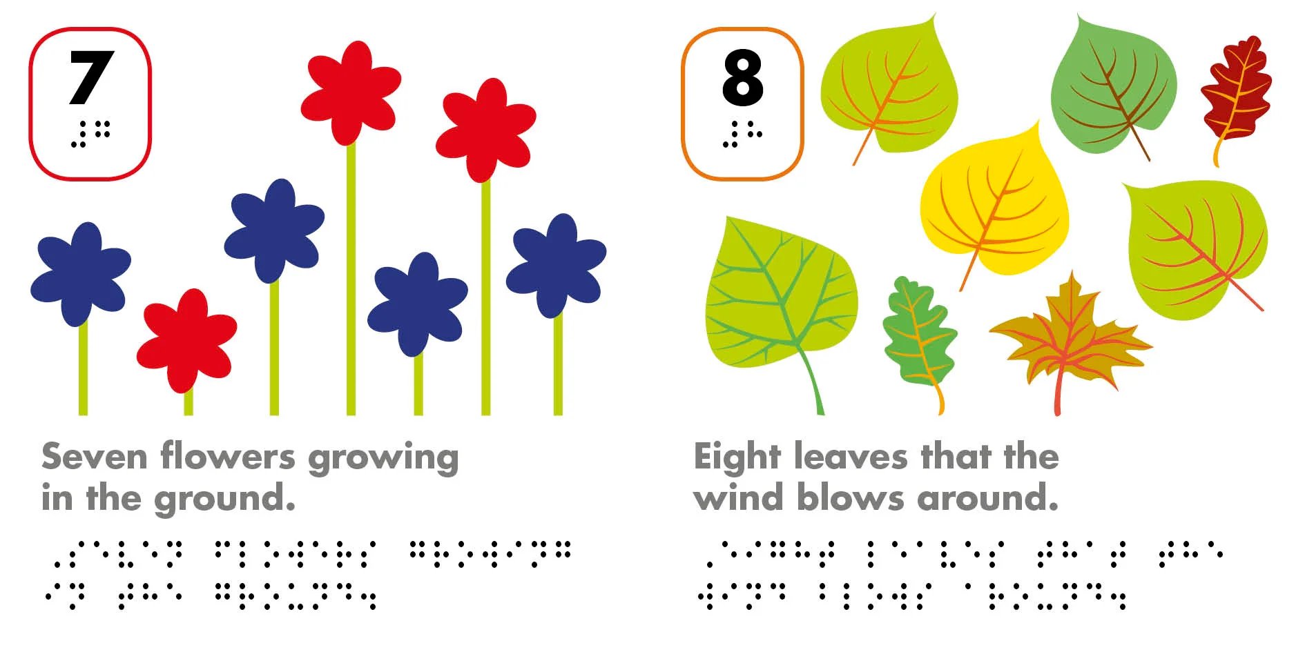 DK Braille: Counting - Image 4