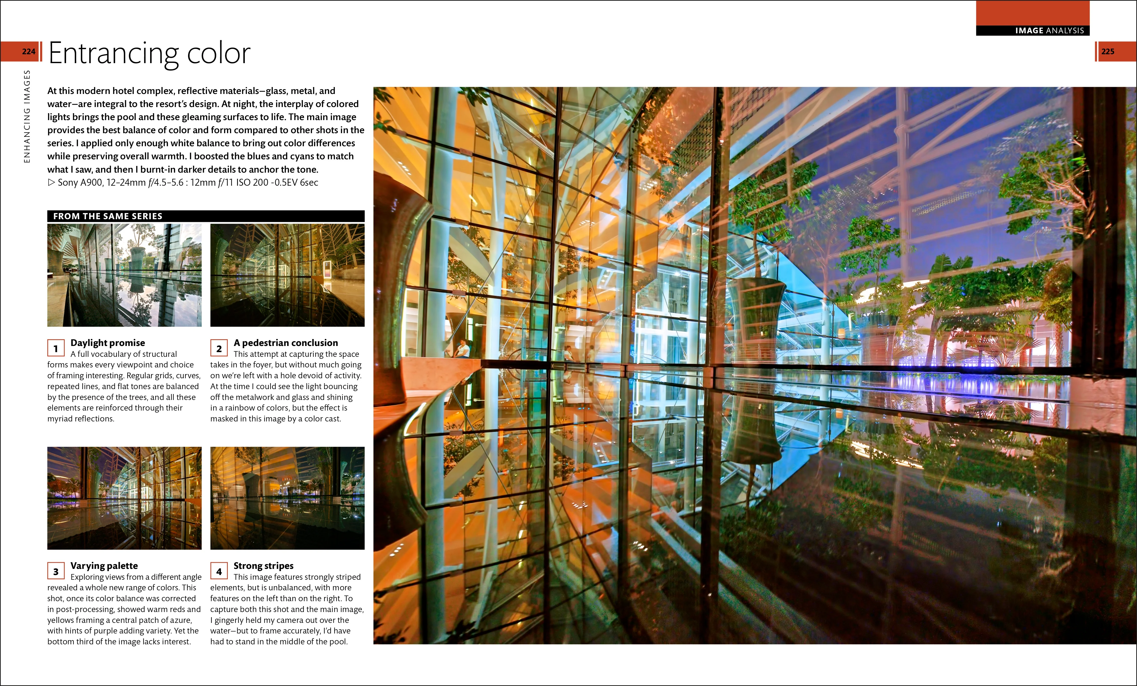 Digital Photography Essentials - Image 6