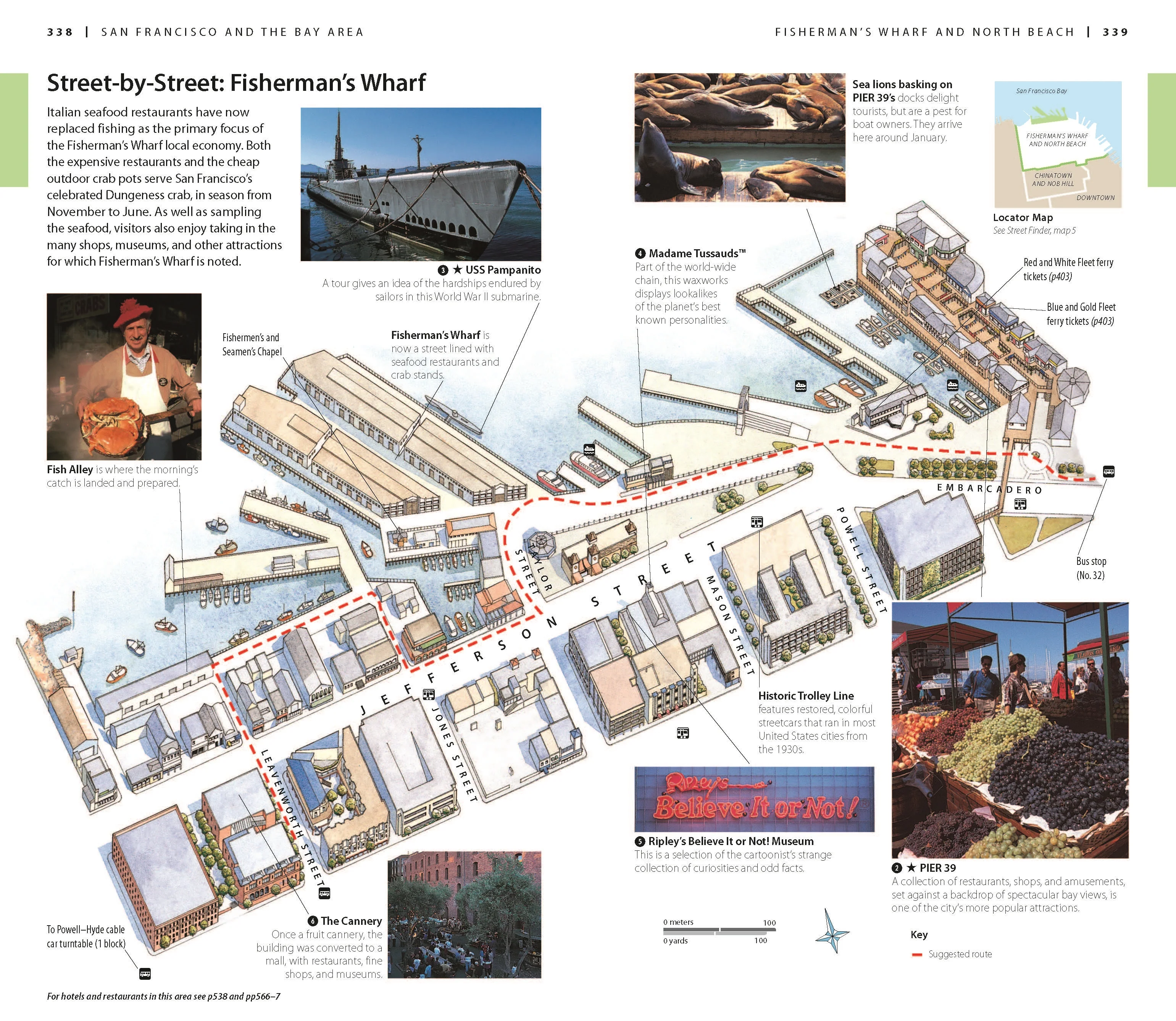 DK California - Image 5