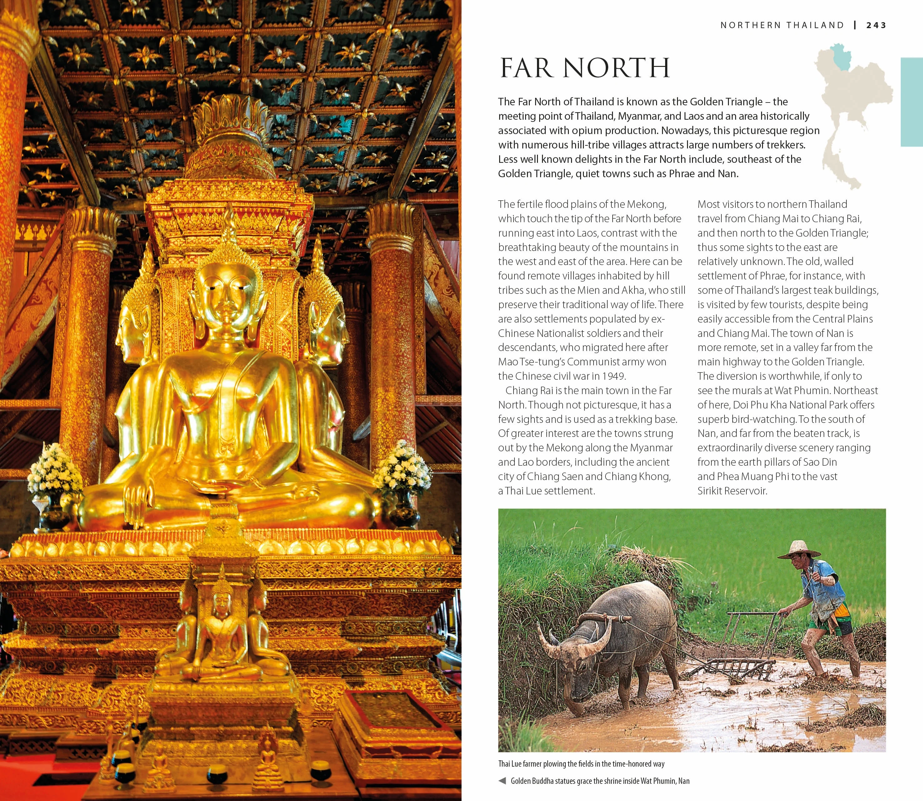 DK Thailand - Image 6