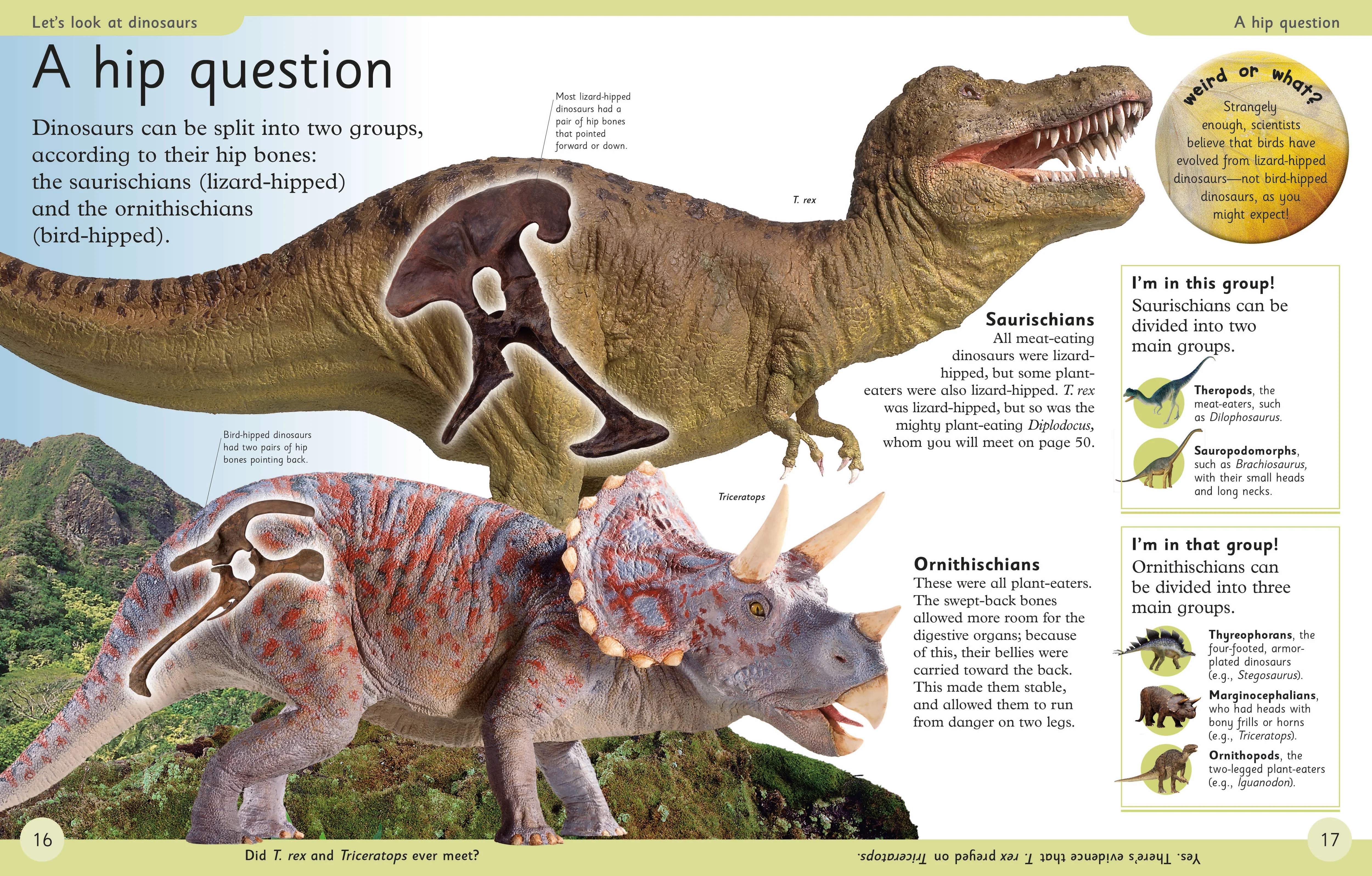 First Dinosaur Encyclopedia - Image 2