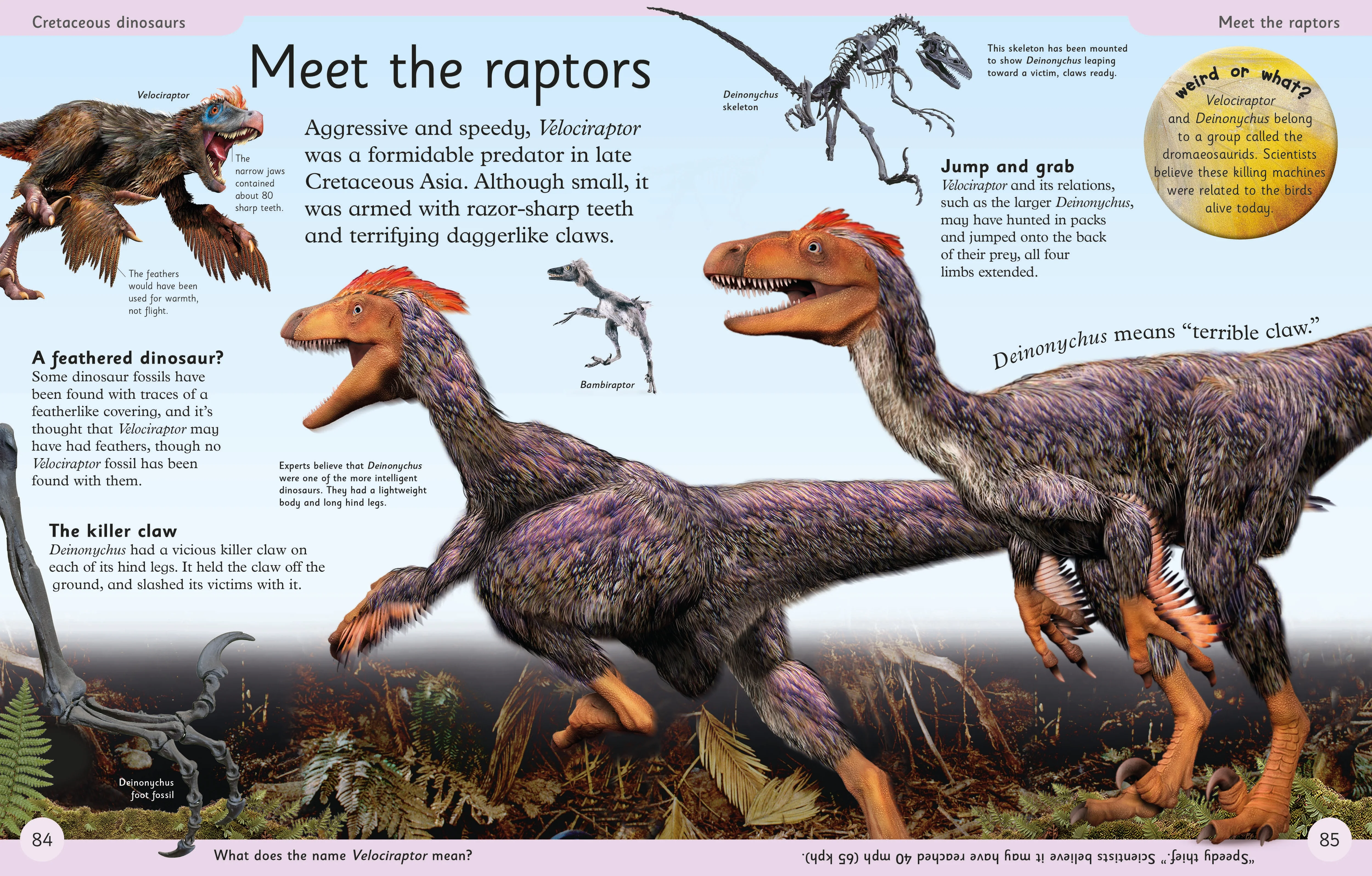 First Dinosaur Encyclopedia - Image 3