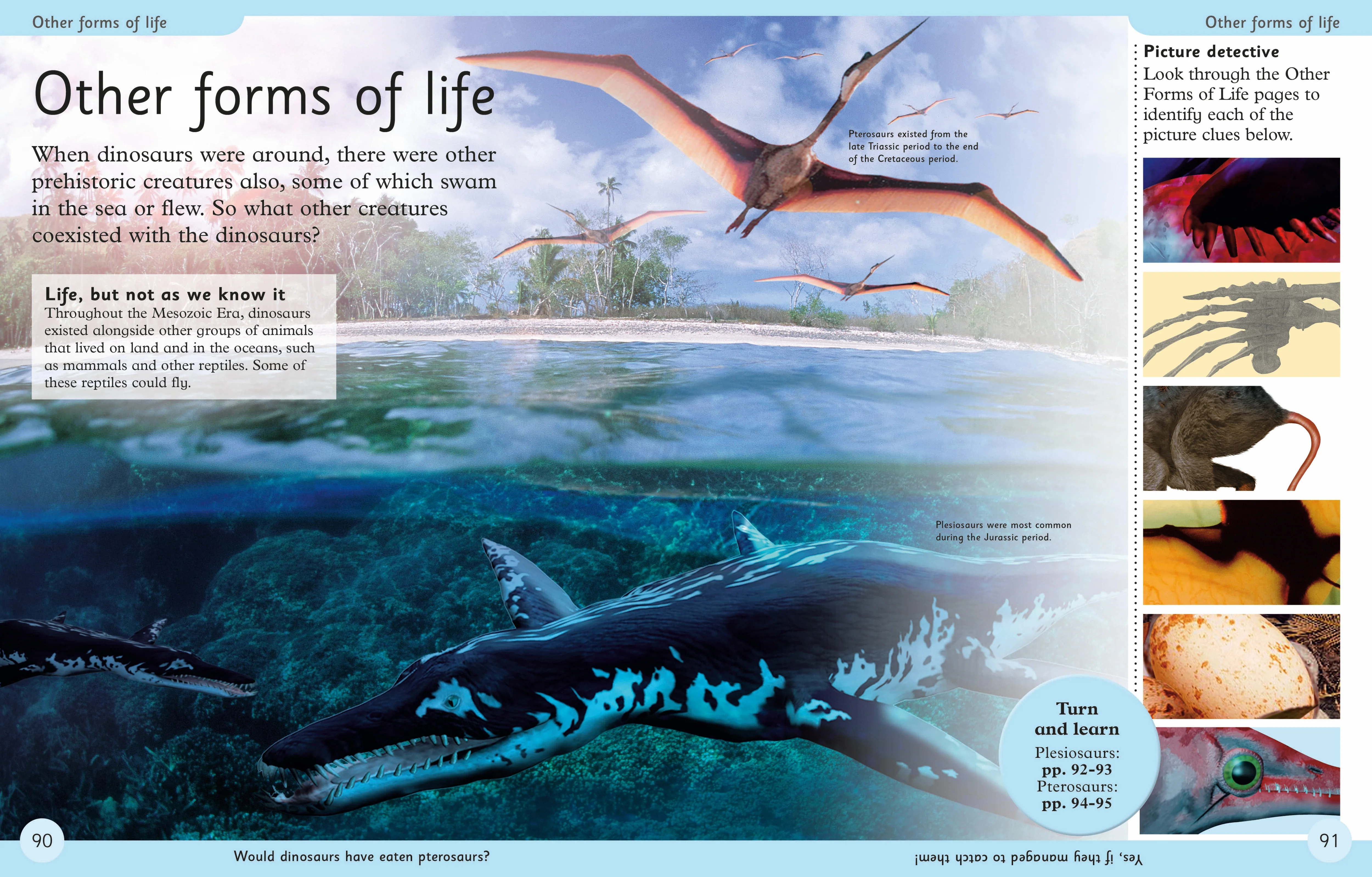First Dinosaur Encyclopedia - Image 4