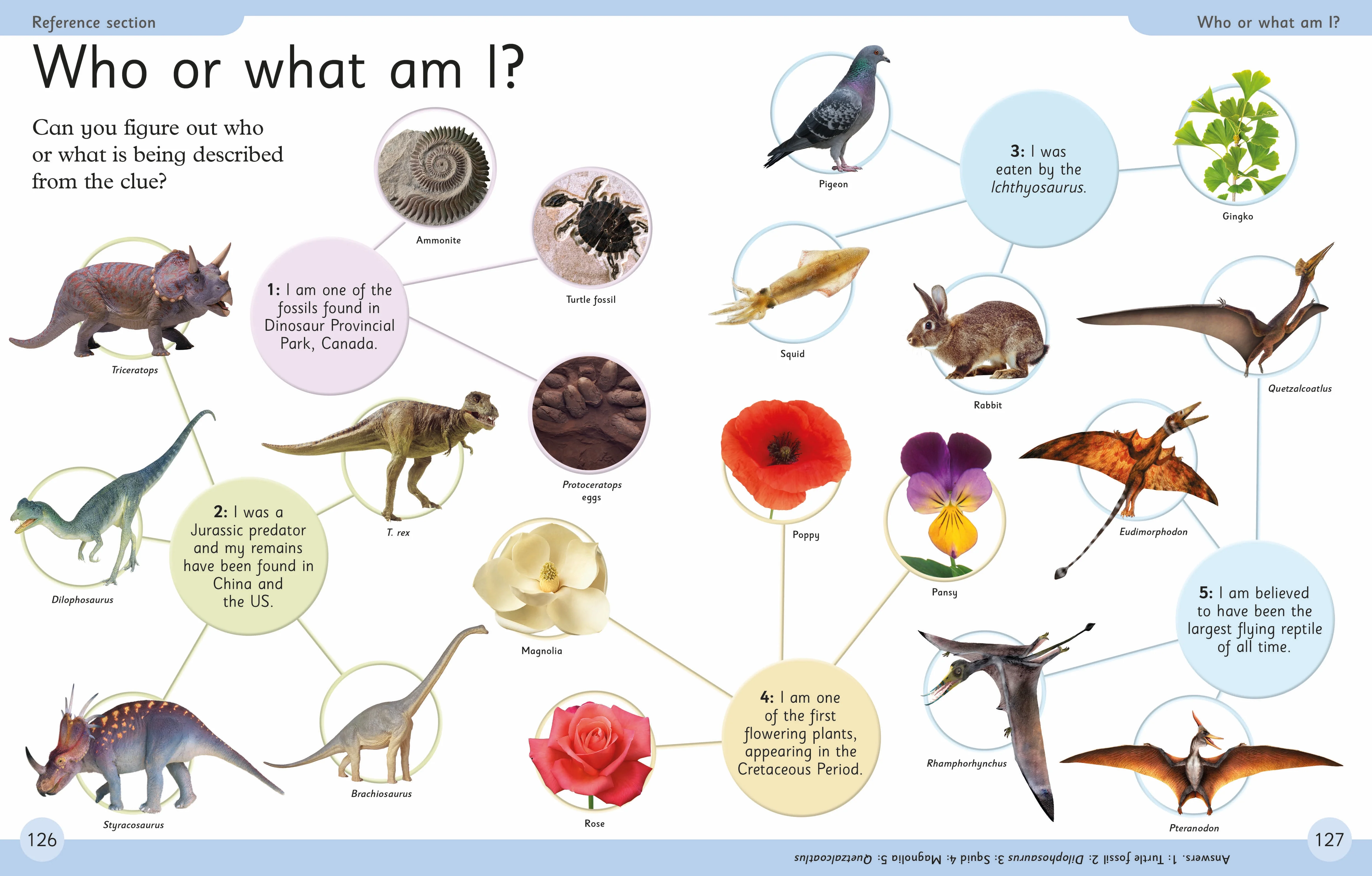 First Dinosaur Encyclopedia - Image 5