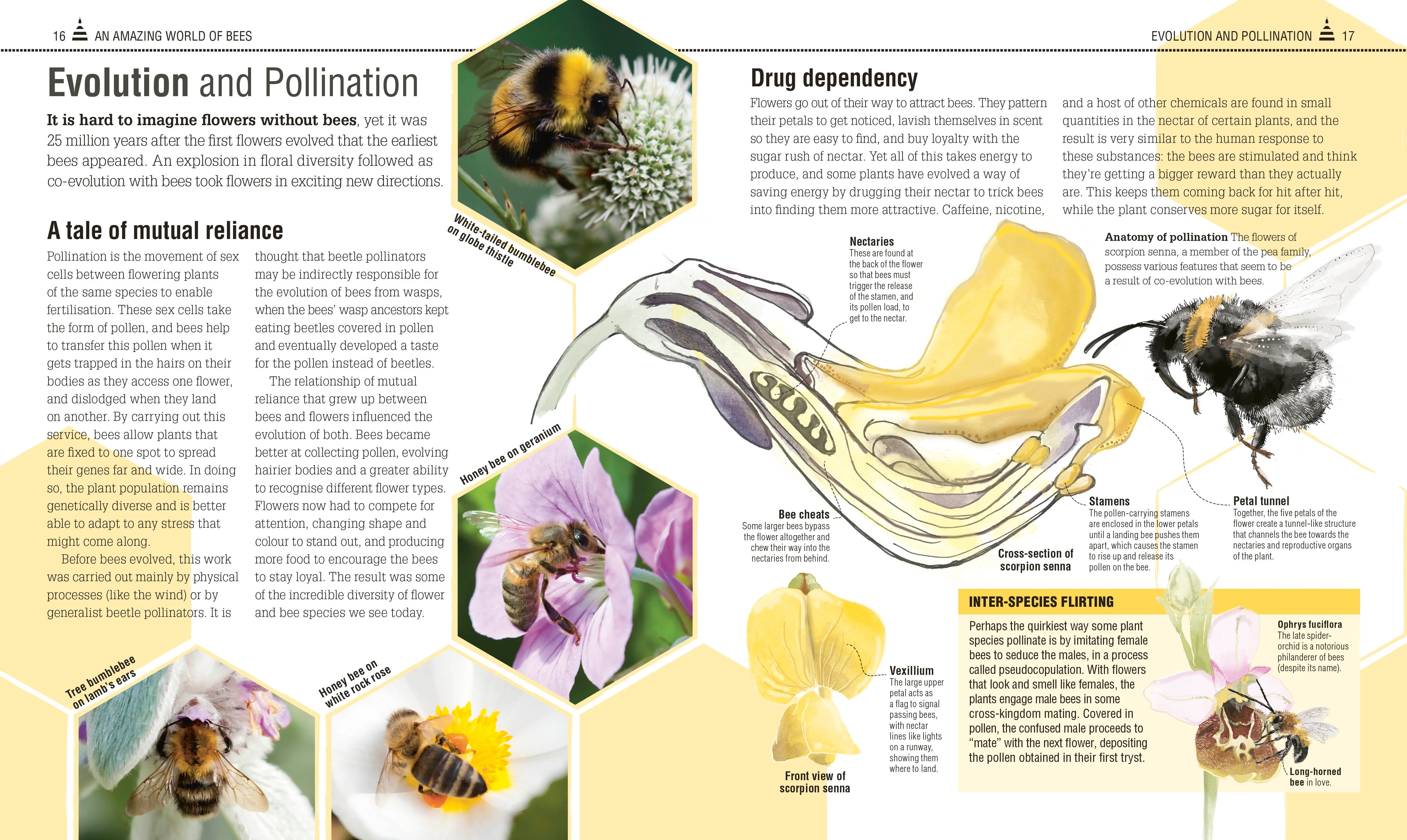 The Bee Book - Image 2