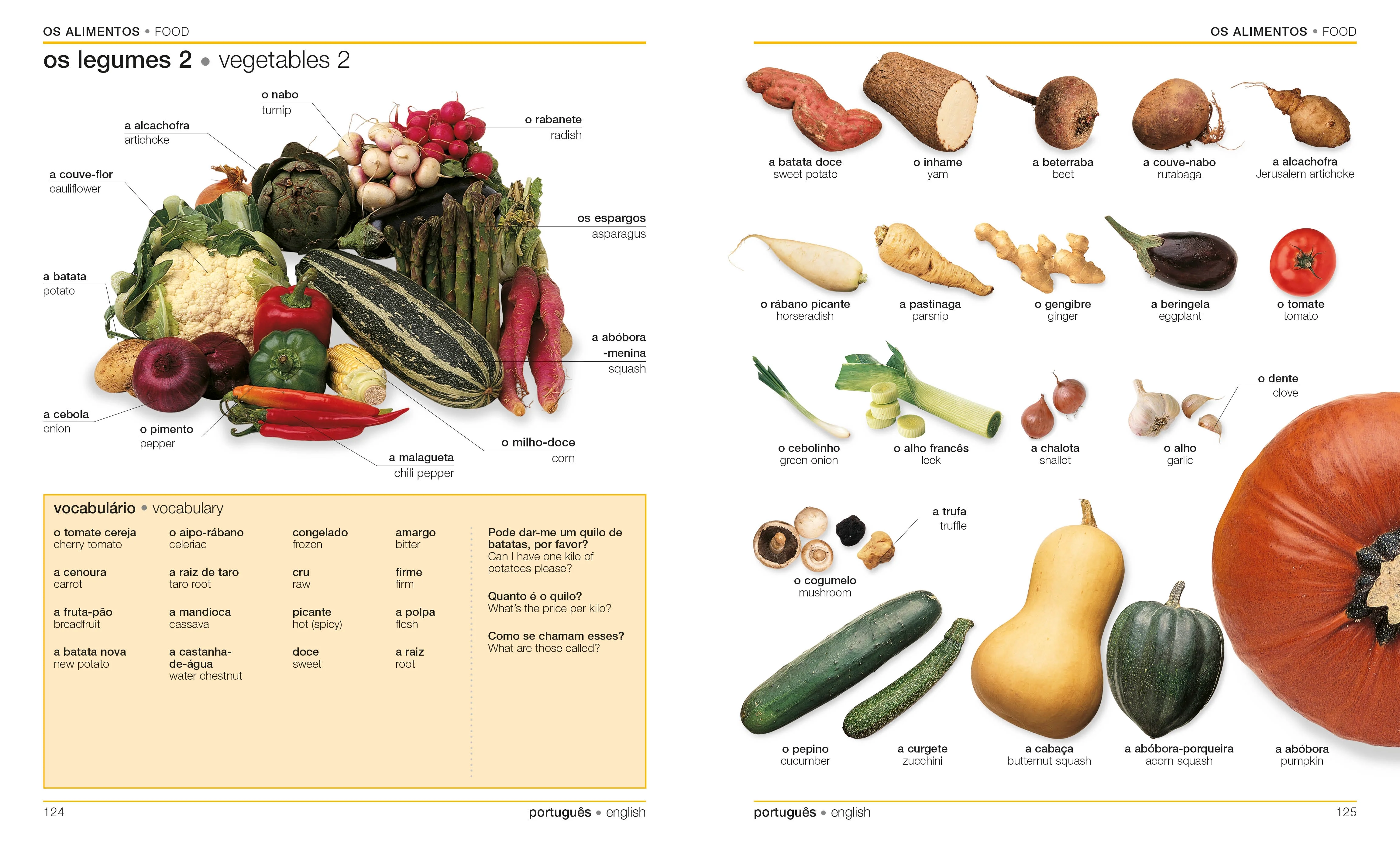 Portuguese-English Bilingual Visual Dictionary - Image 3