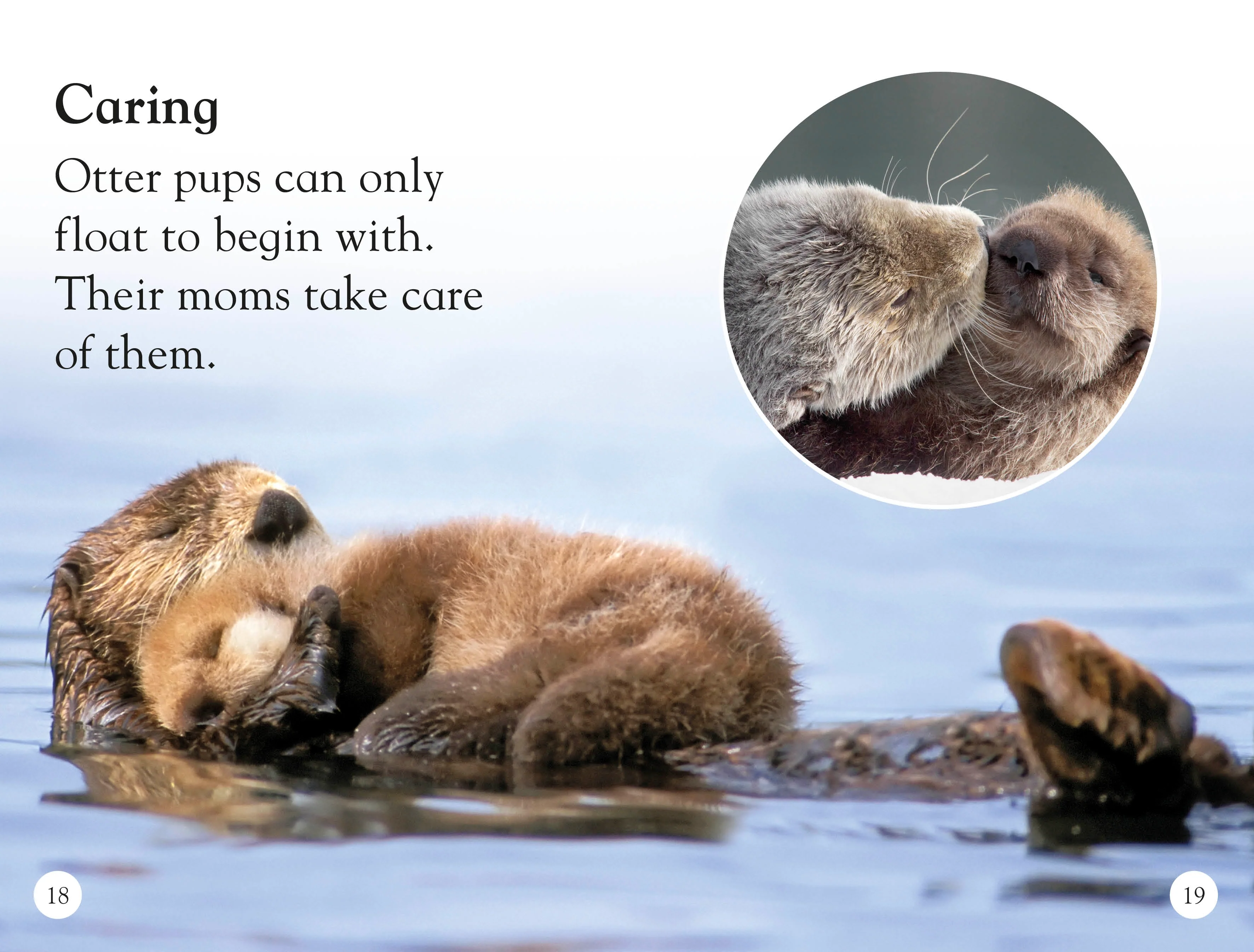 DK Readers L1: Sea Otters - Image 4