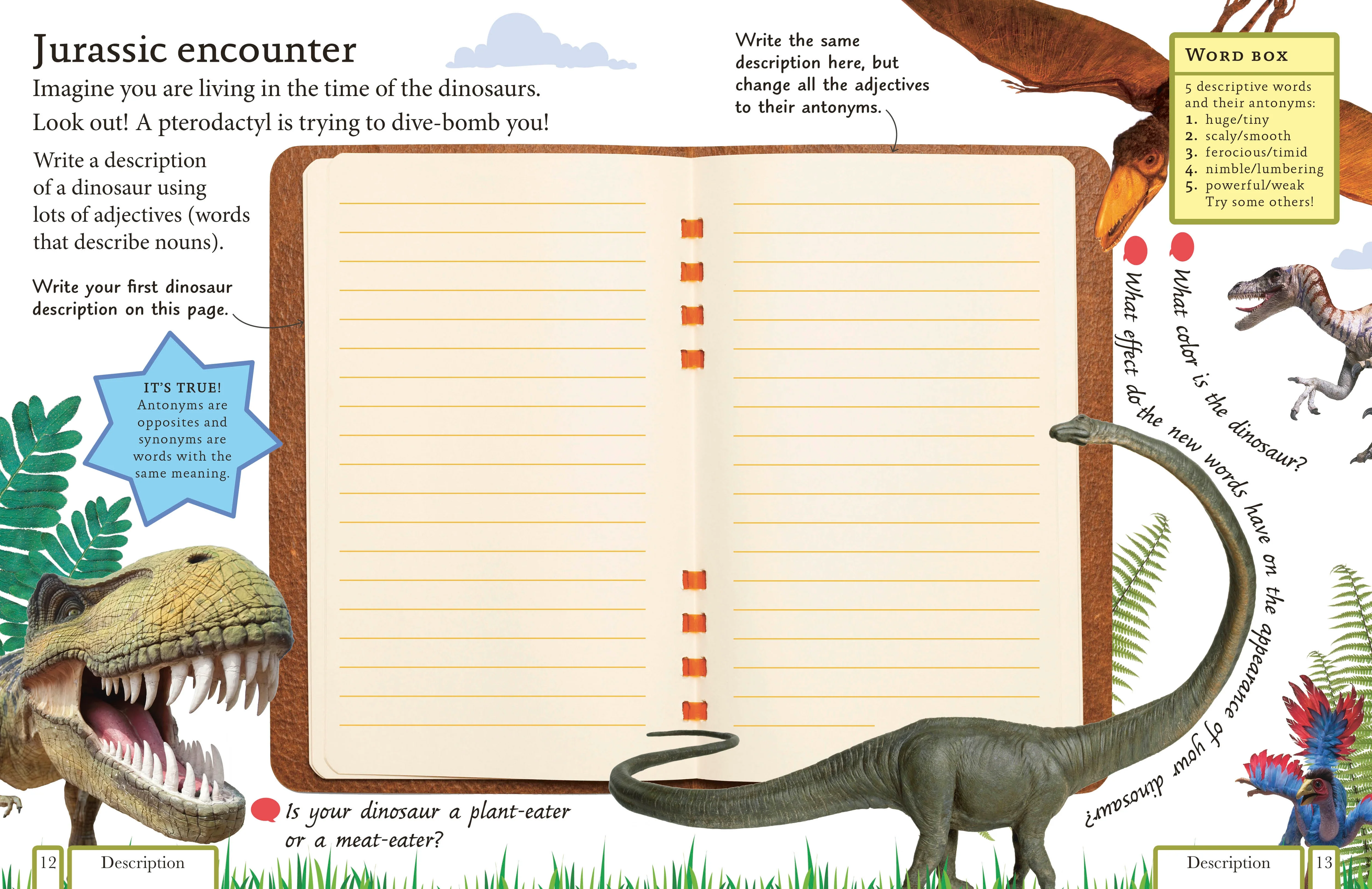 Write Your Own Book - Image 2