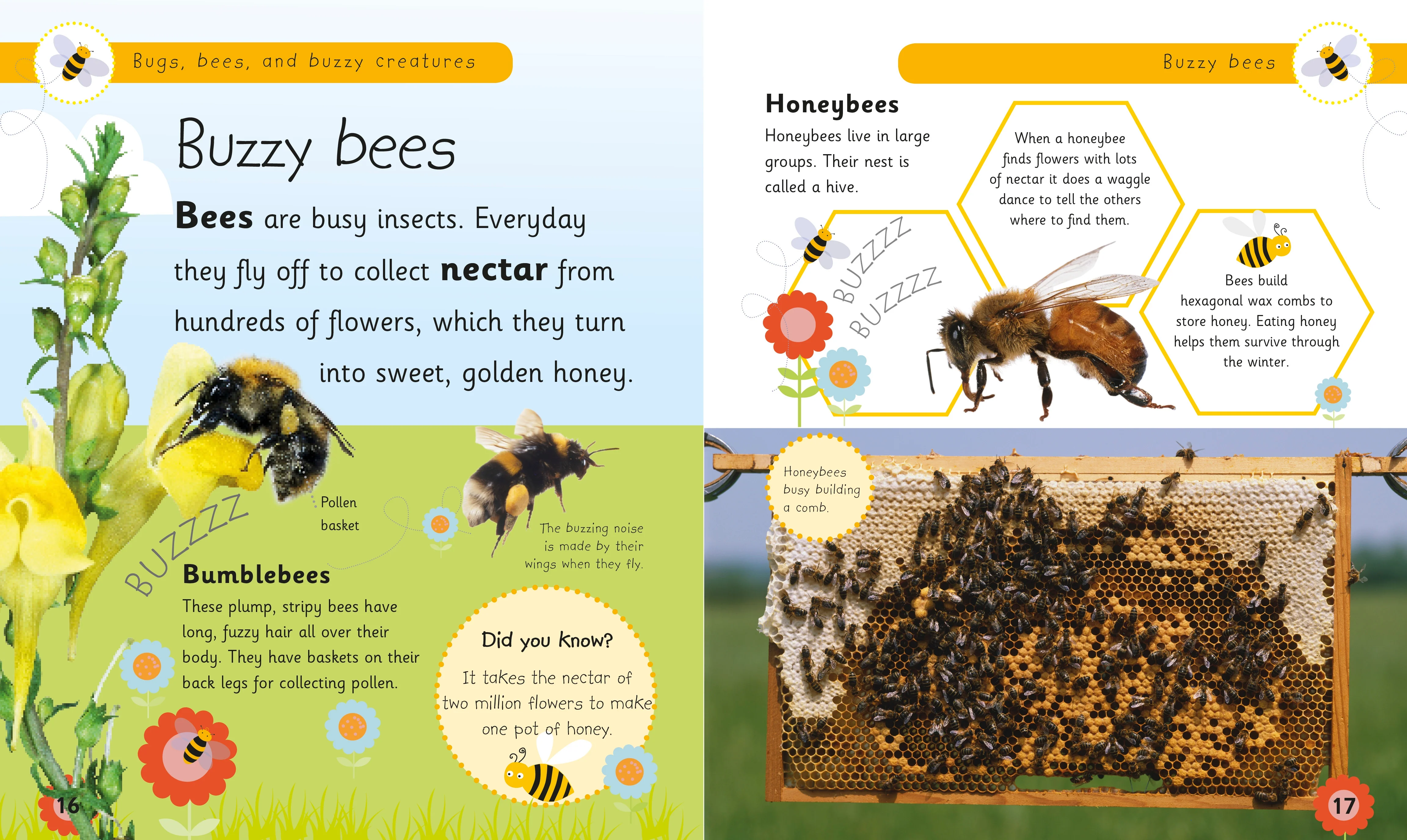 Bugs, Bees, and Other Buzzy Creatures - Image 4
