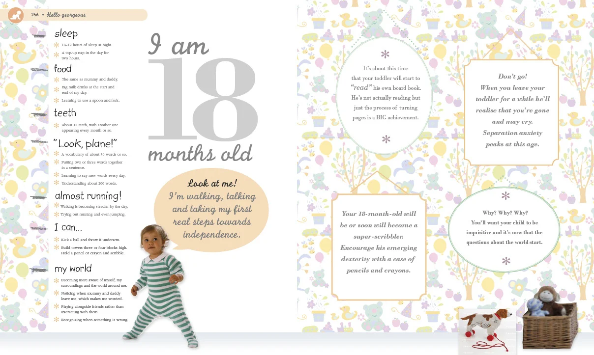 The Baby Book - Image 5