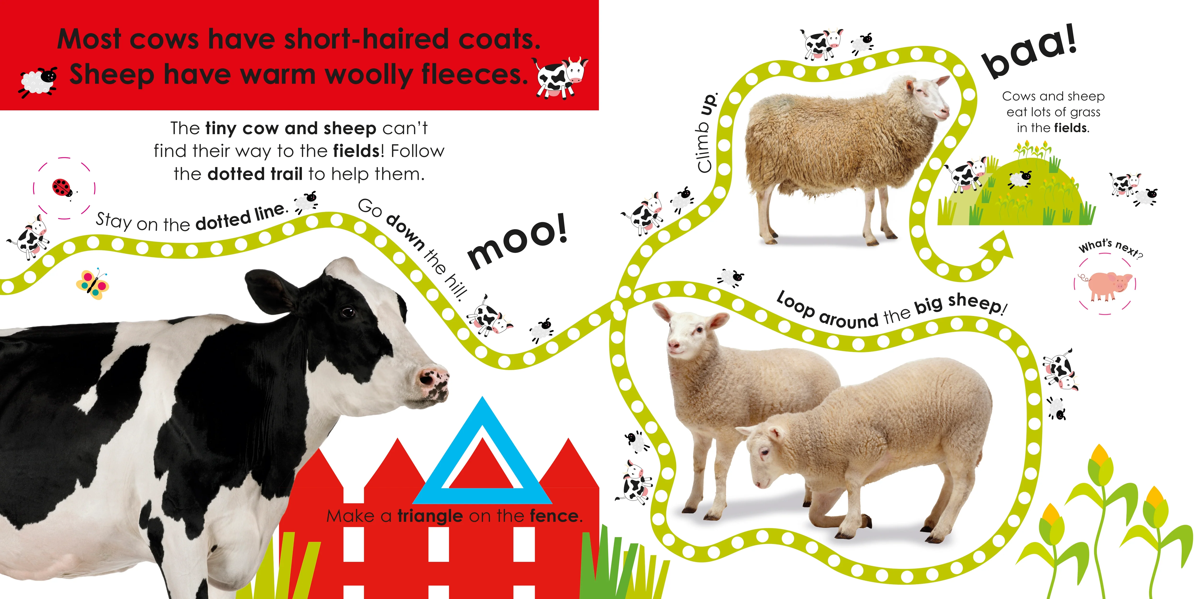 Follow the Trail: Farm - Image 3