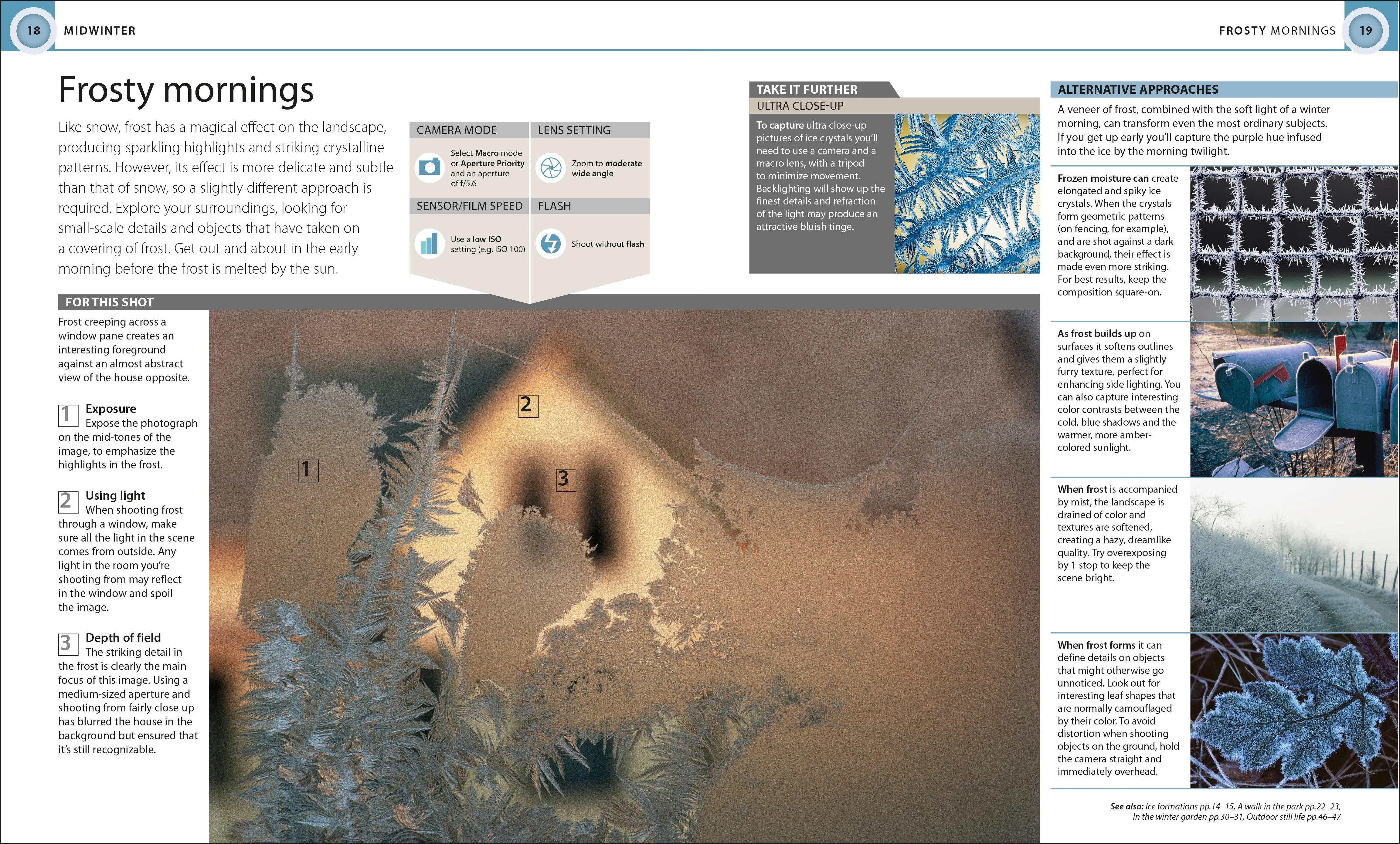 Digital Photography Through Yr - Image 2