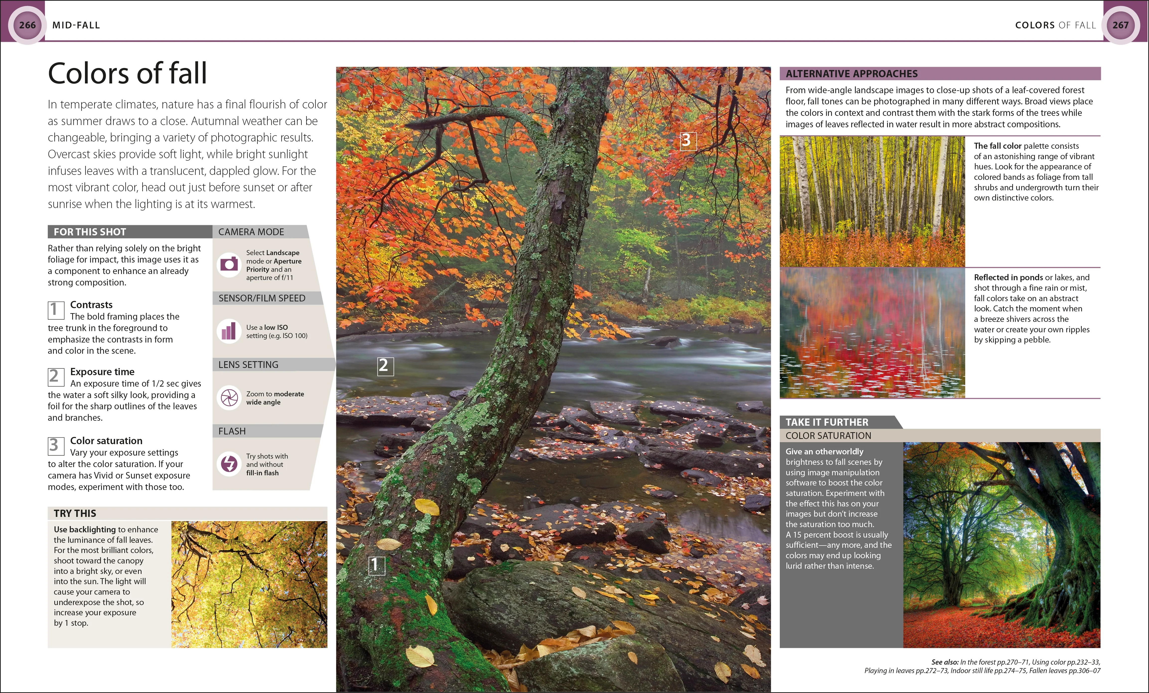 Digital Photography Through Yr - Image 5