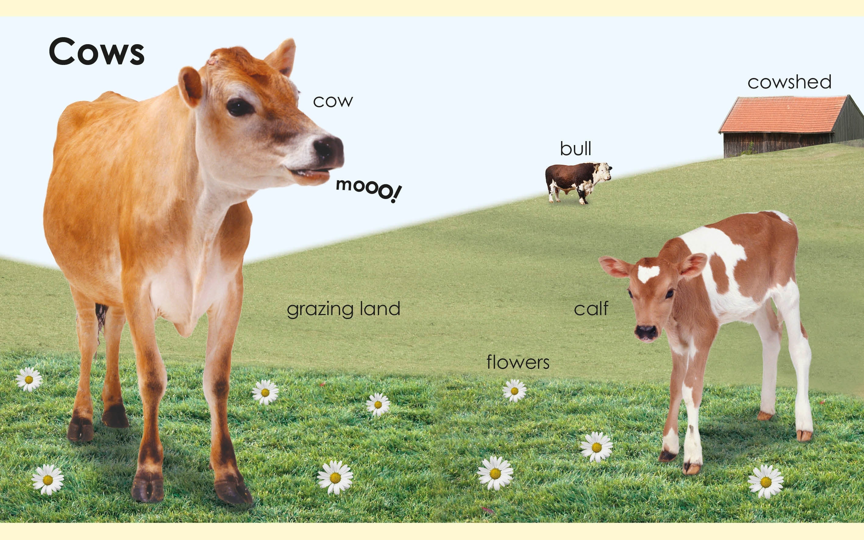 My First Farm - Image 3