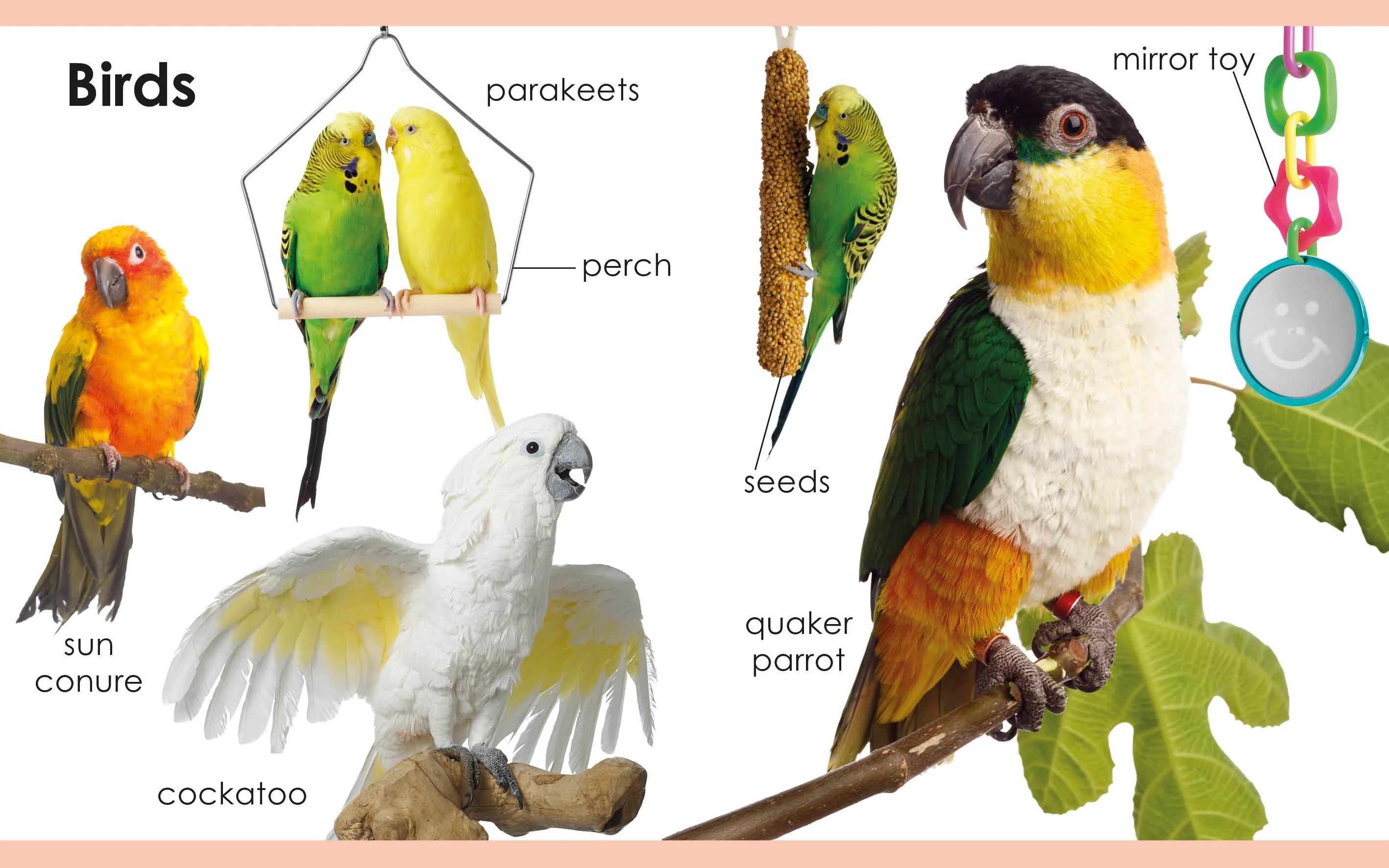 My First Pets - Image 4