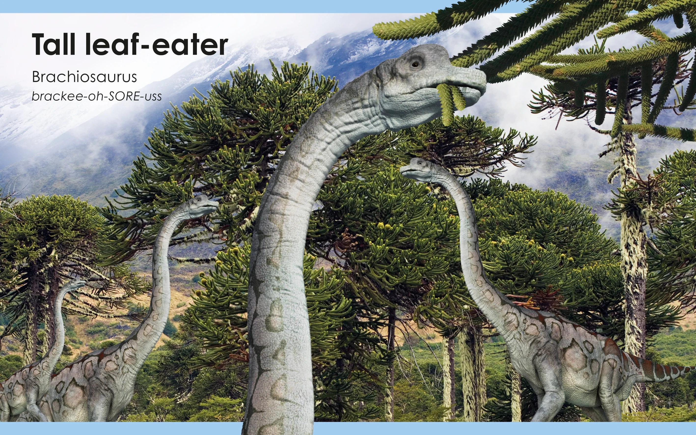 My First Dinosaur - Image 3
