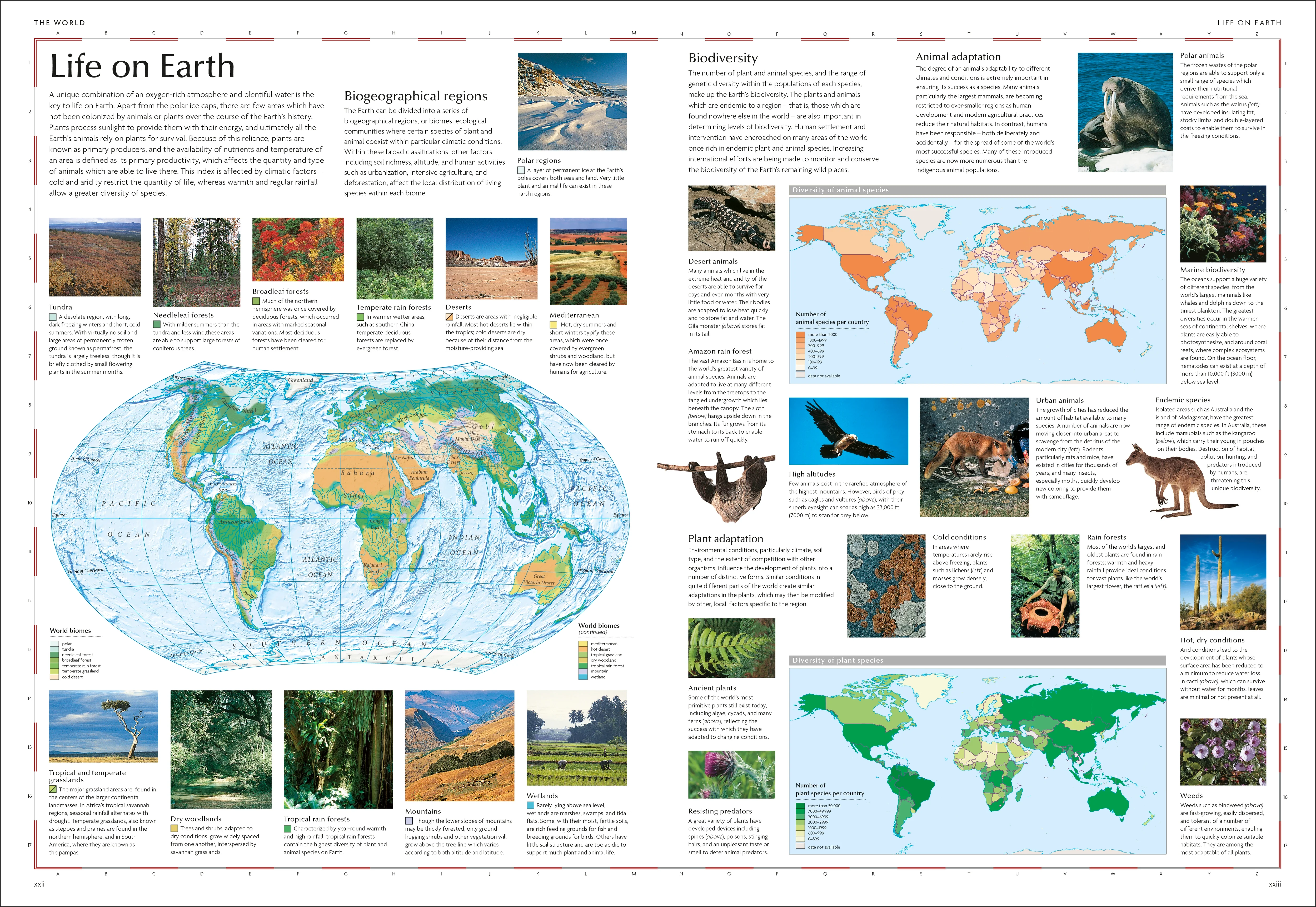 Concise World Atlas - Image 2