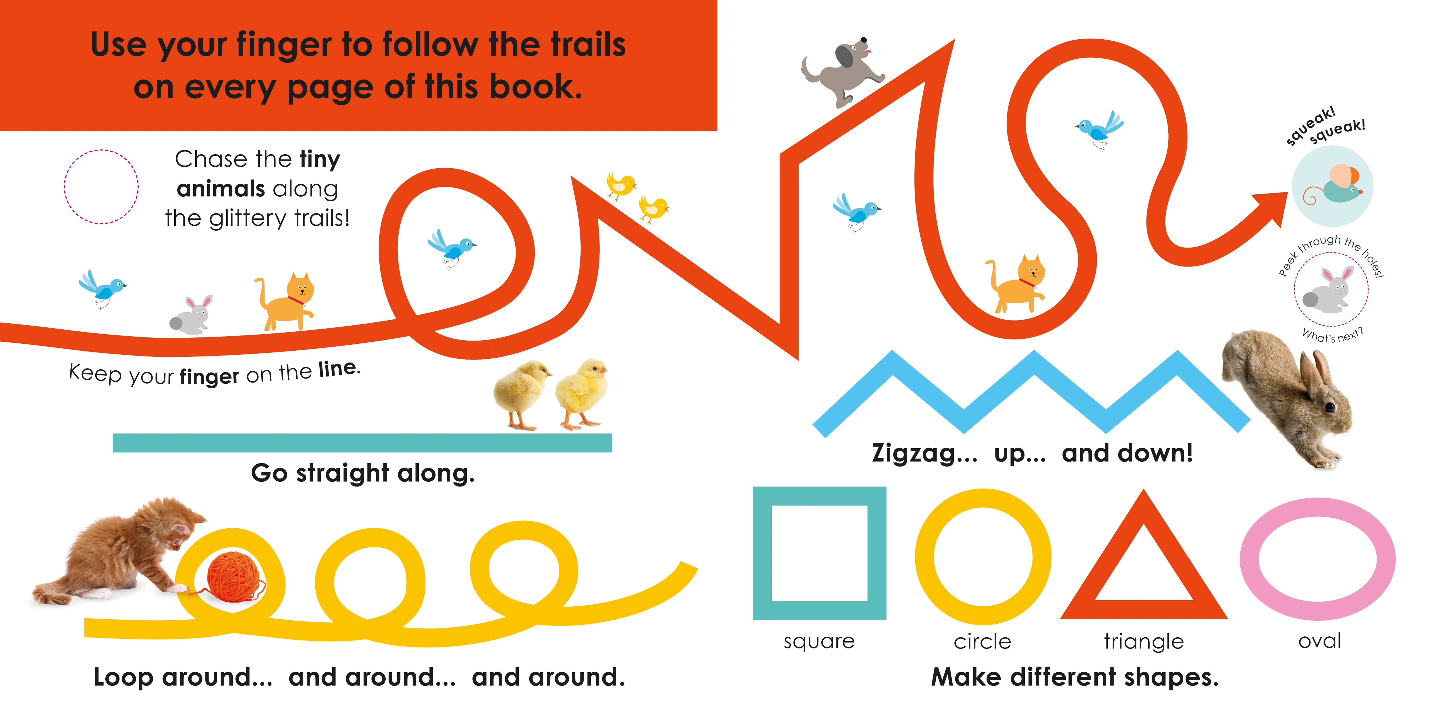 Follow the Trail: Baby Animals - Image 2