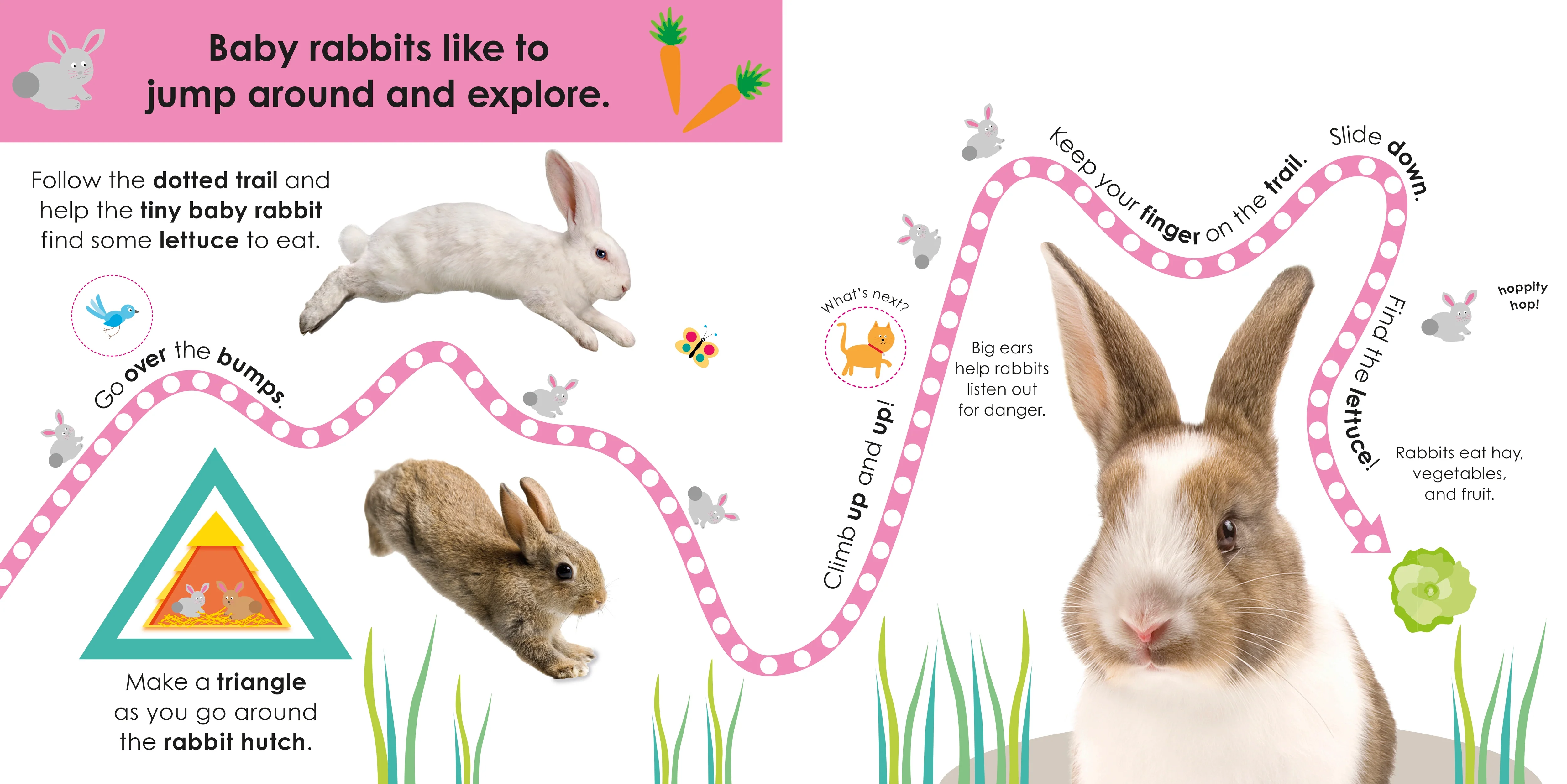Follow the Trail: Baby Animals - Image 4