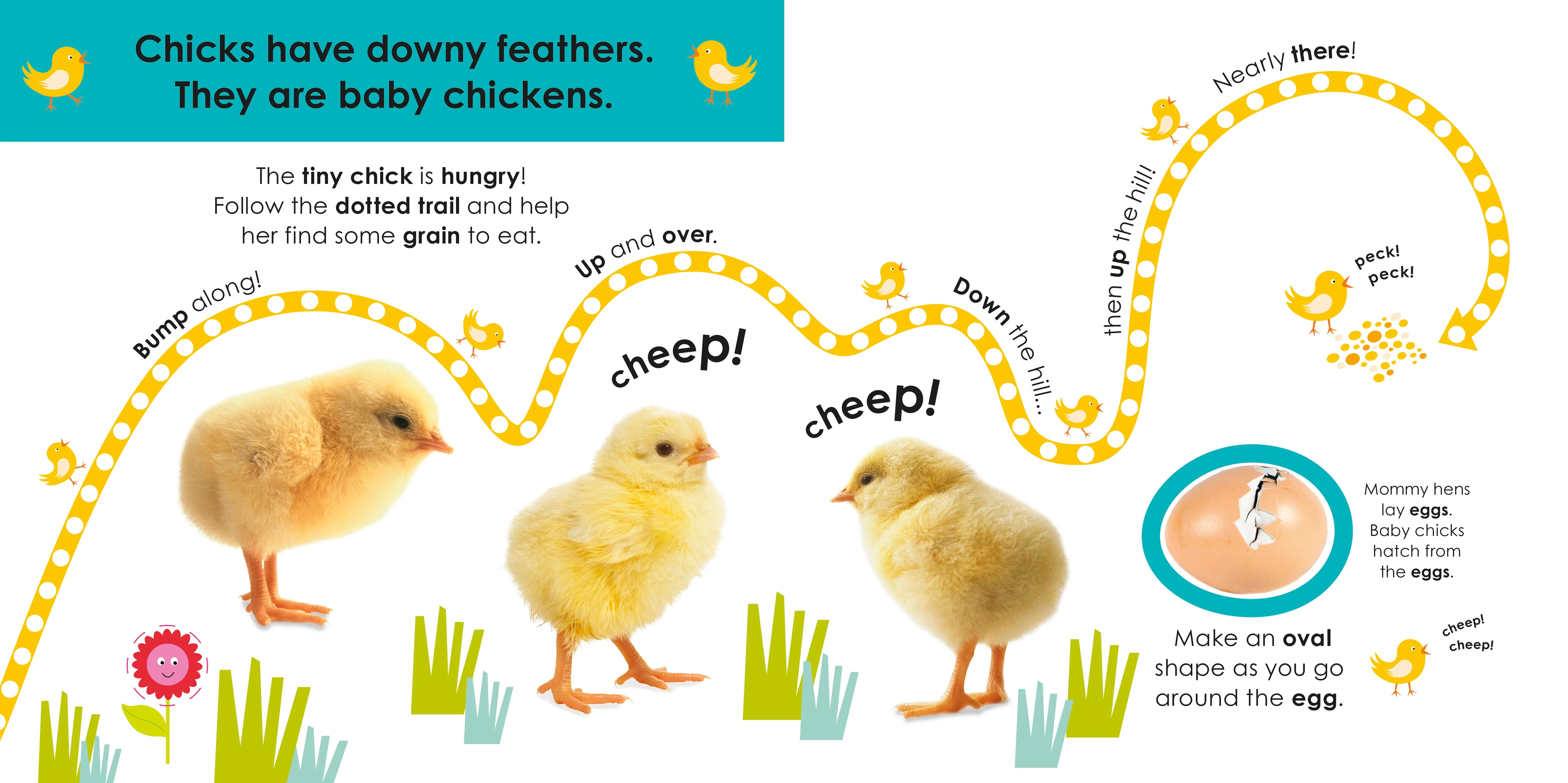 Follow the Trail: Baby Animals - Image 6