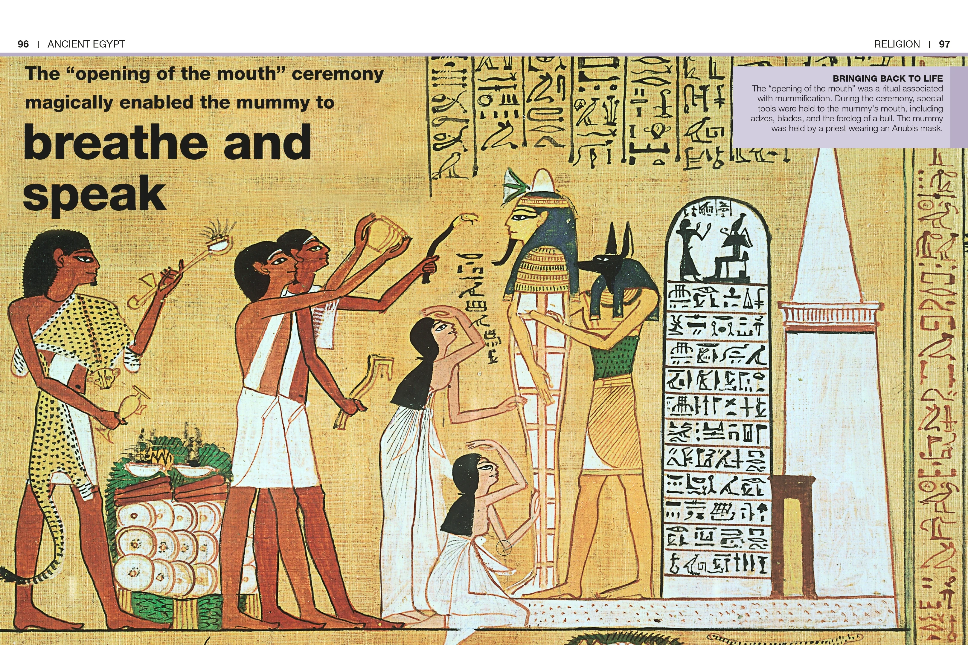 Pocket Genius: Ancient Egypt - Image 5
