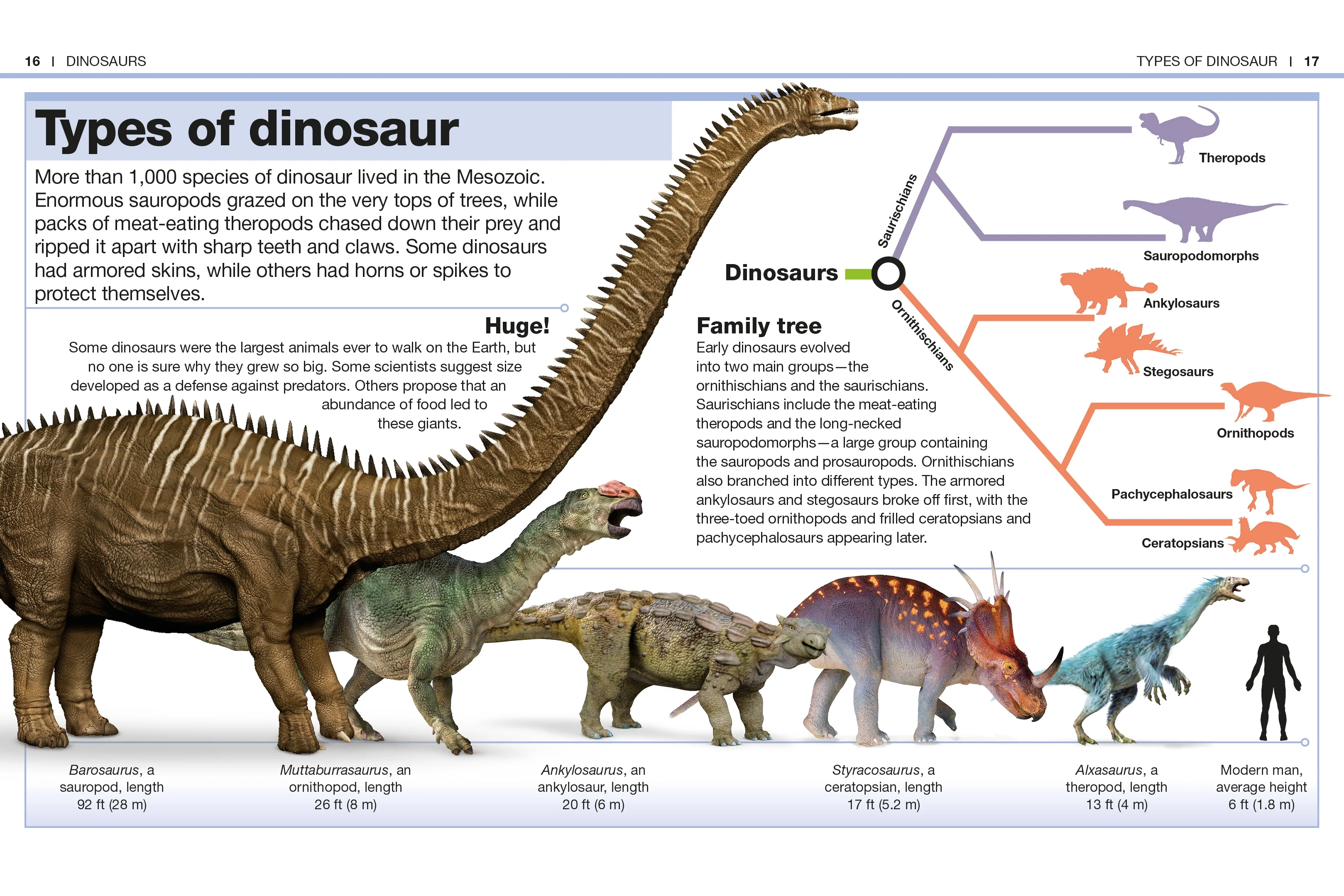 Pocket Genius Dinosaurs - Image 2