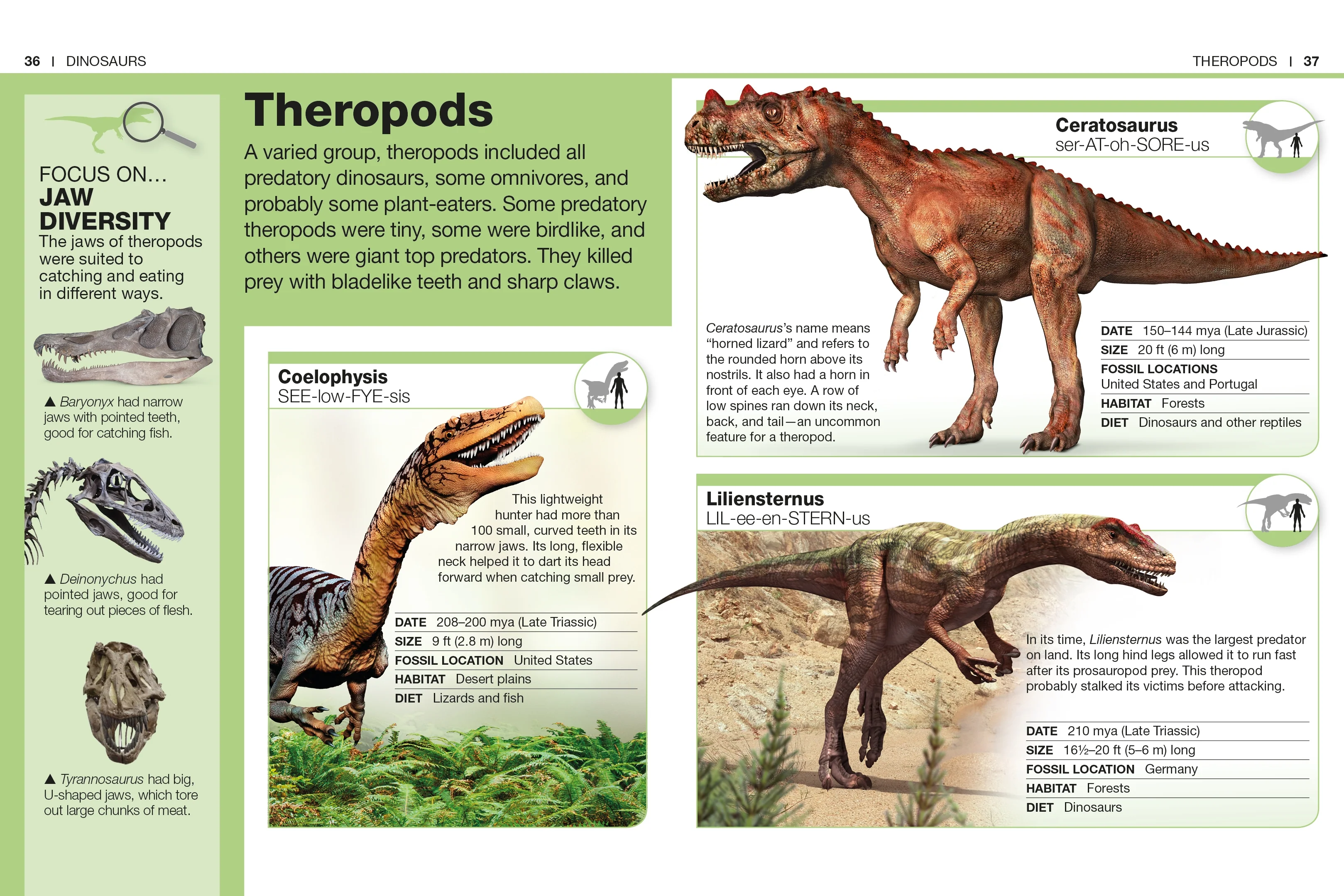Pocket Genius Dinosaurs - Image 4
