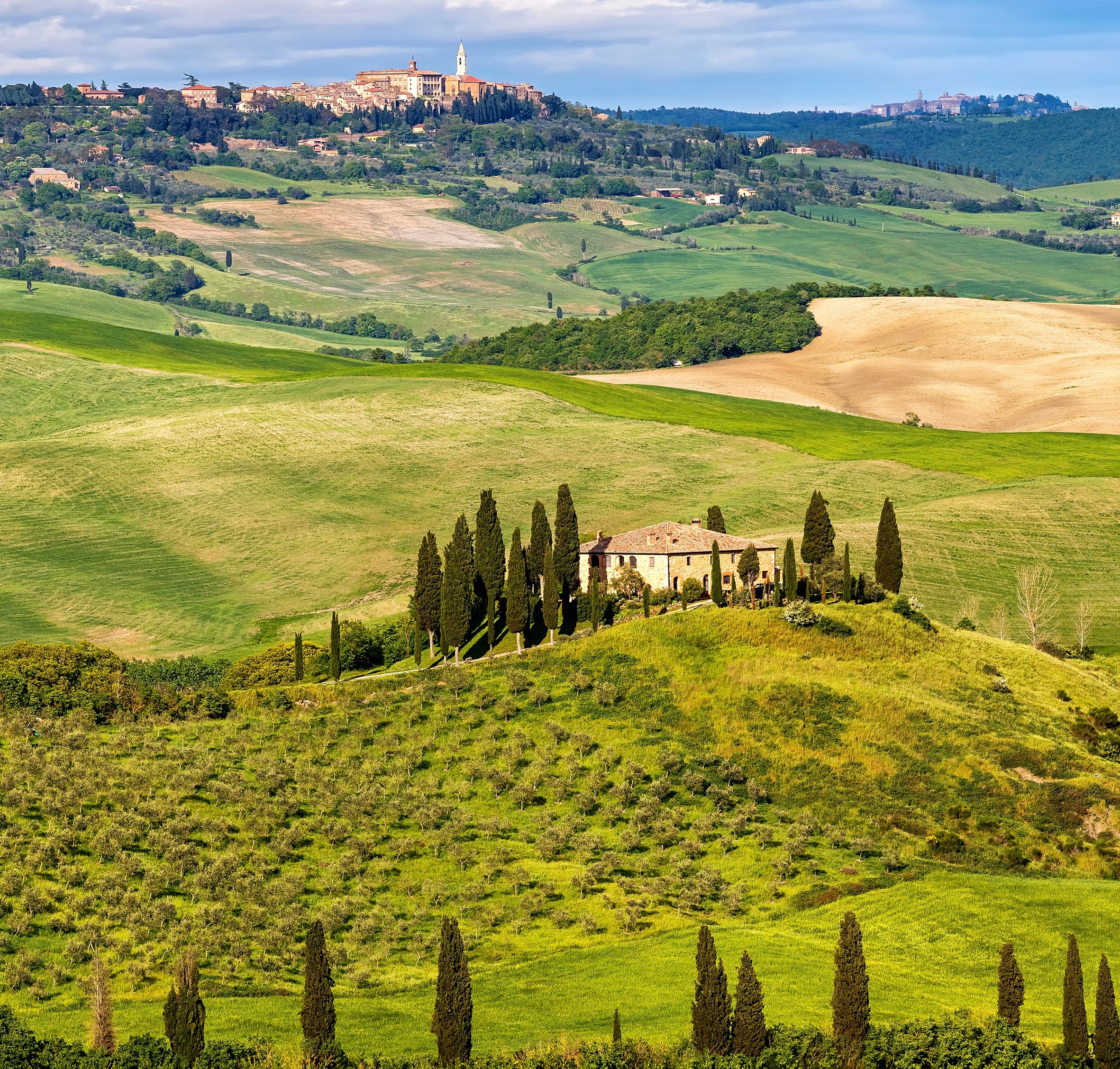 DK Top 10 Florence and Tuscany - Image 5