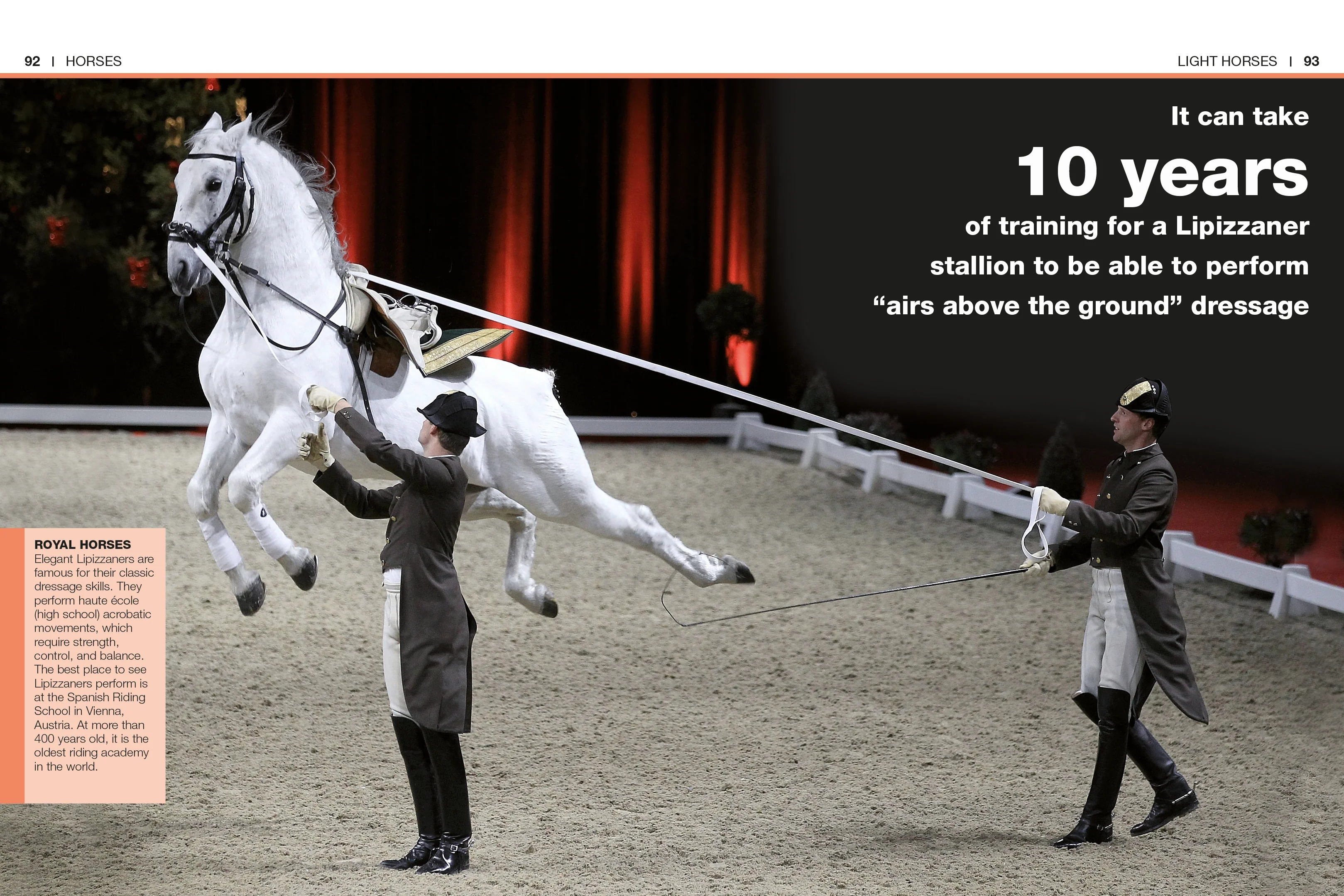 Pocket Genius Horses - Image 4