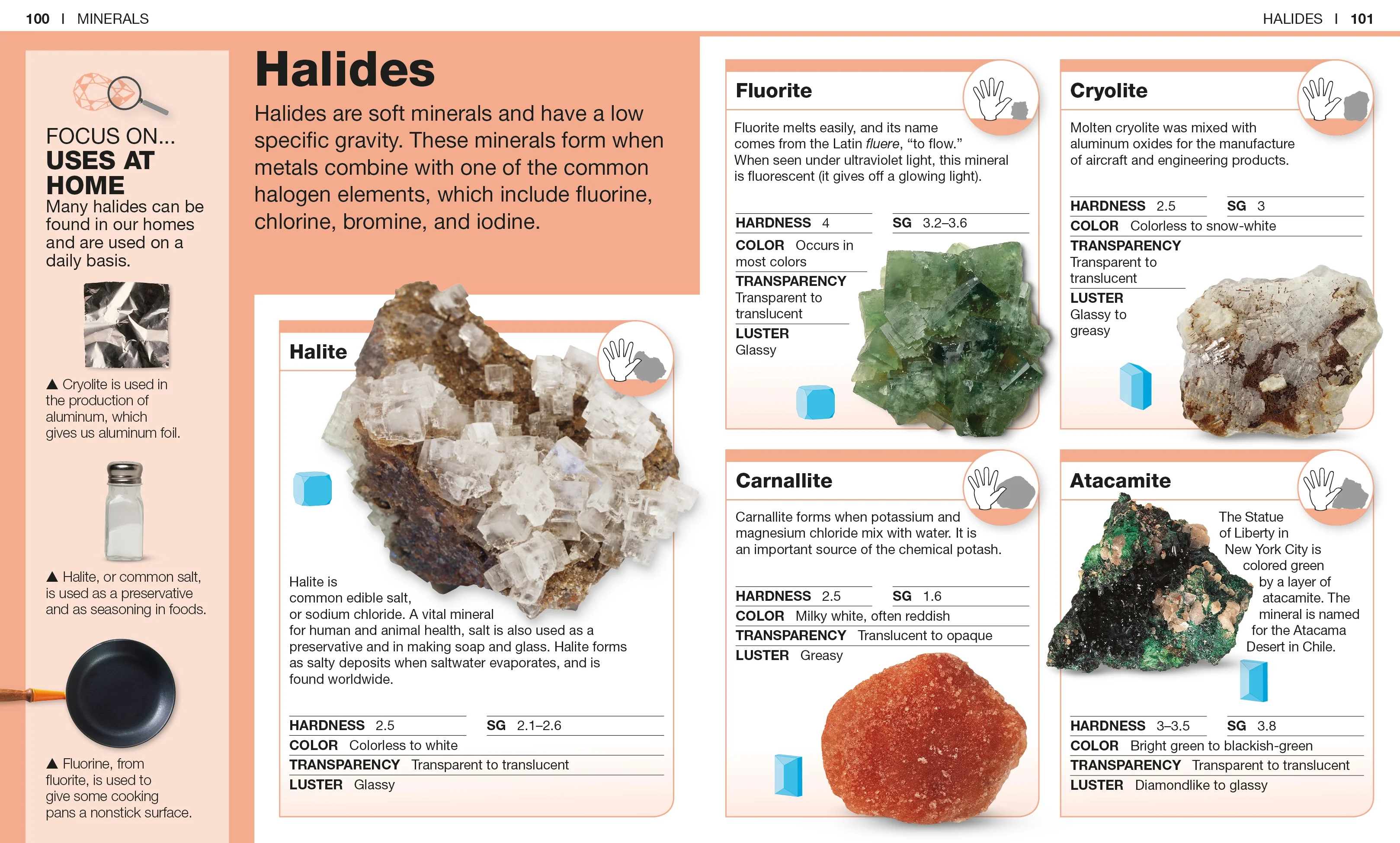 Pocket Genius: Rocks and Minerals - Image 4