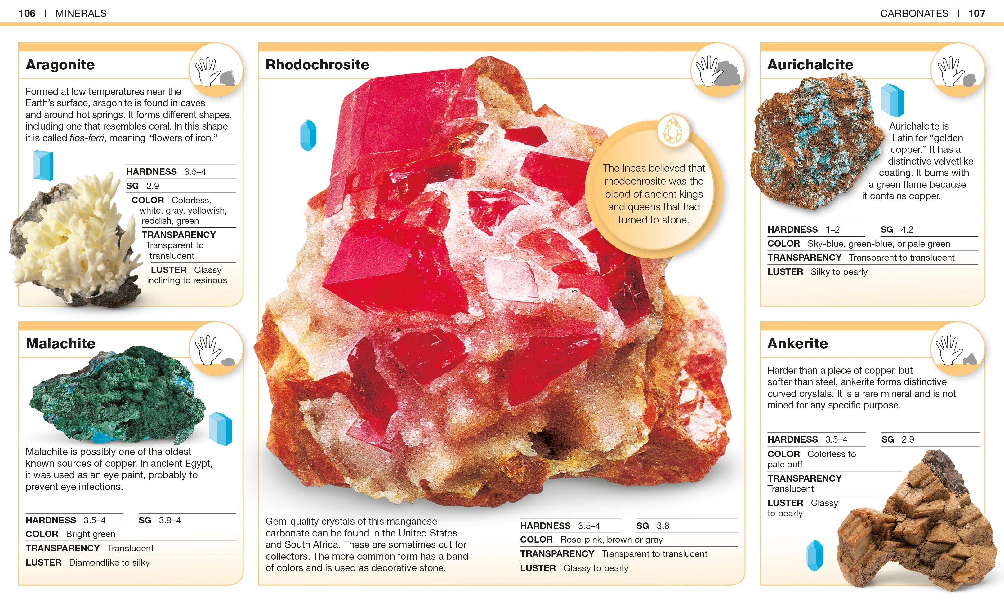 Pocket Genius: Rocks and Minerals - Image 5