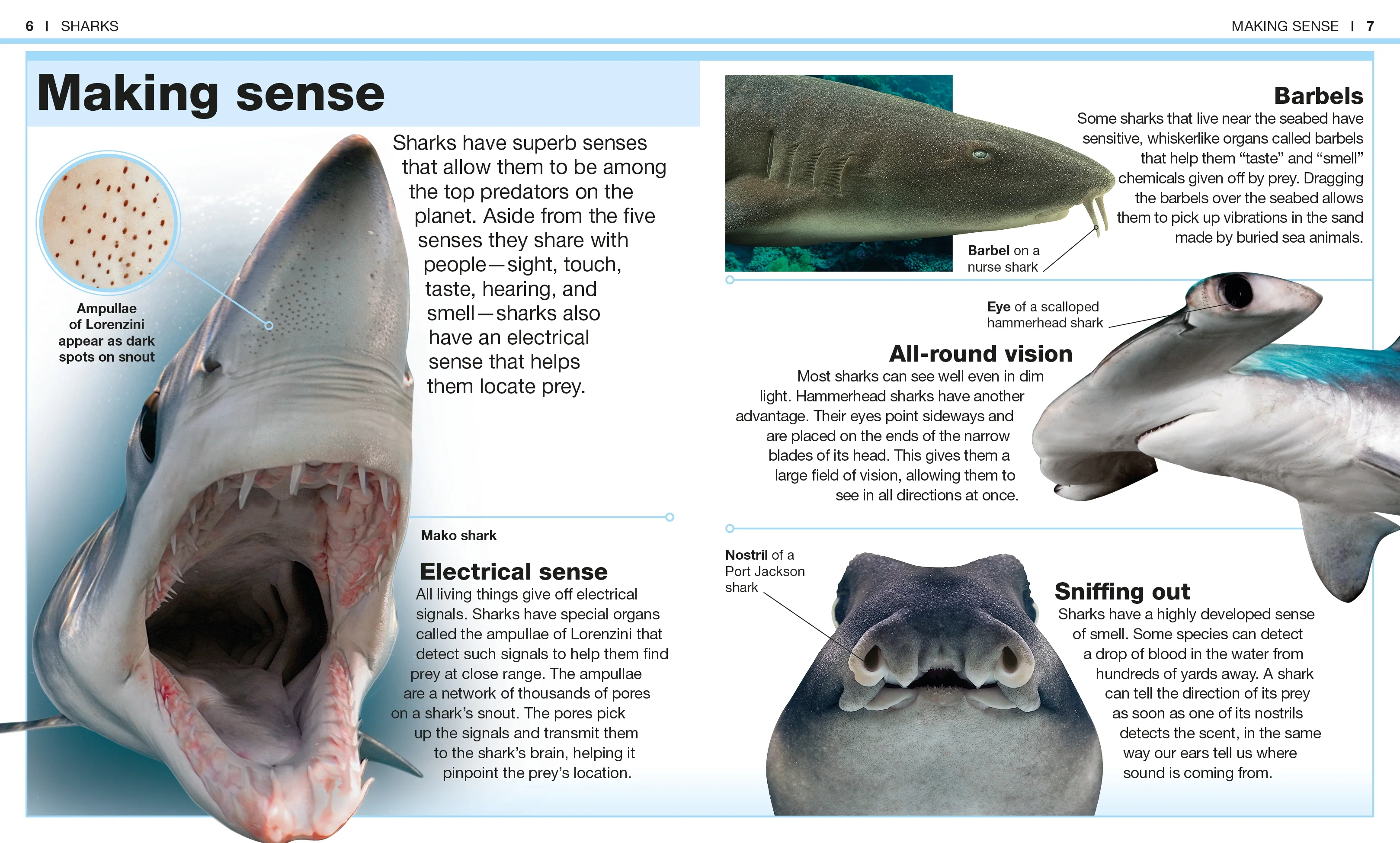 Pocket Genius: Sharks - Image 2