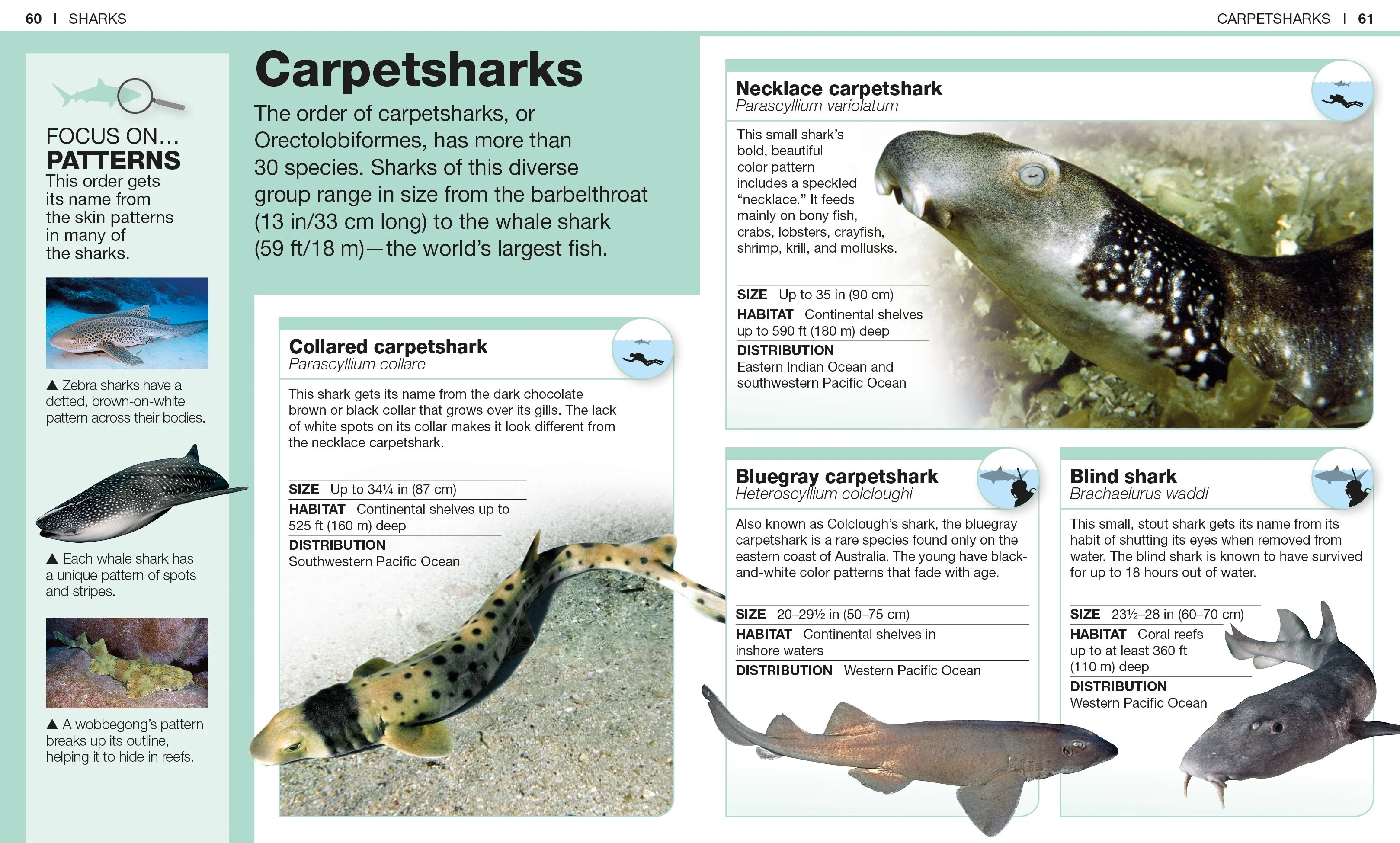 Pocket Genius: Sharks - Image 3