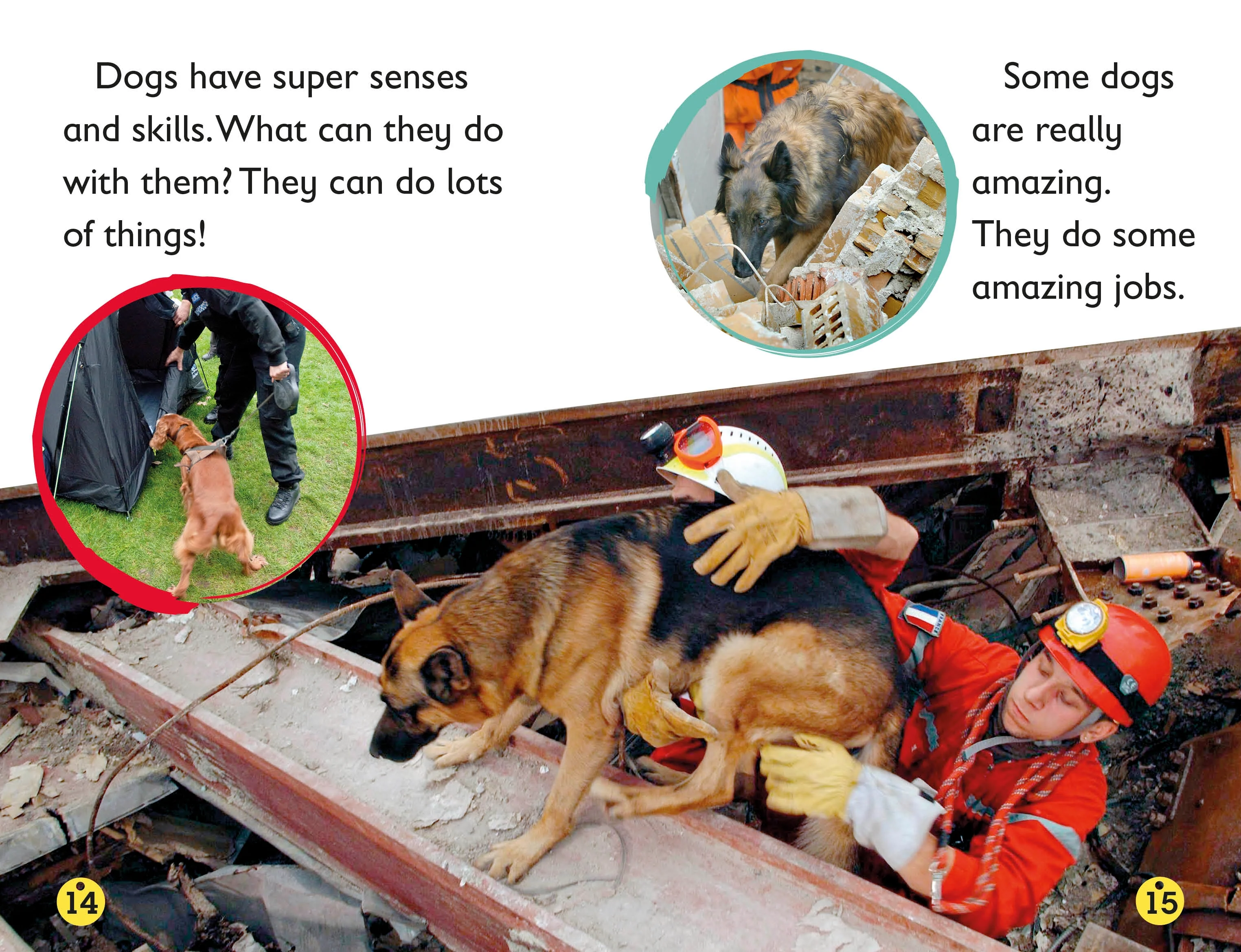 DK Readers L2: Amazing Dogs - Image 2