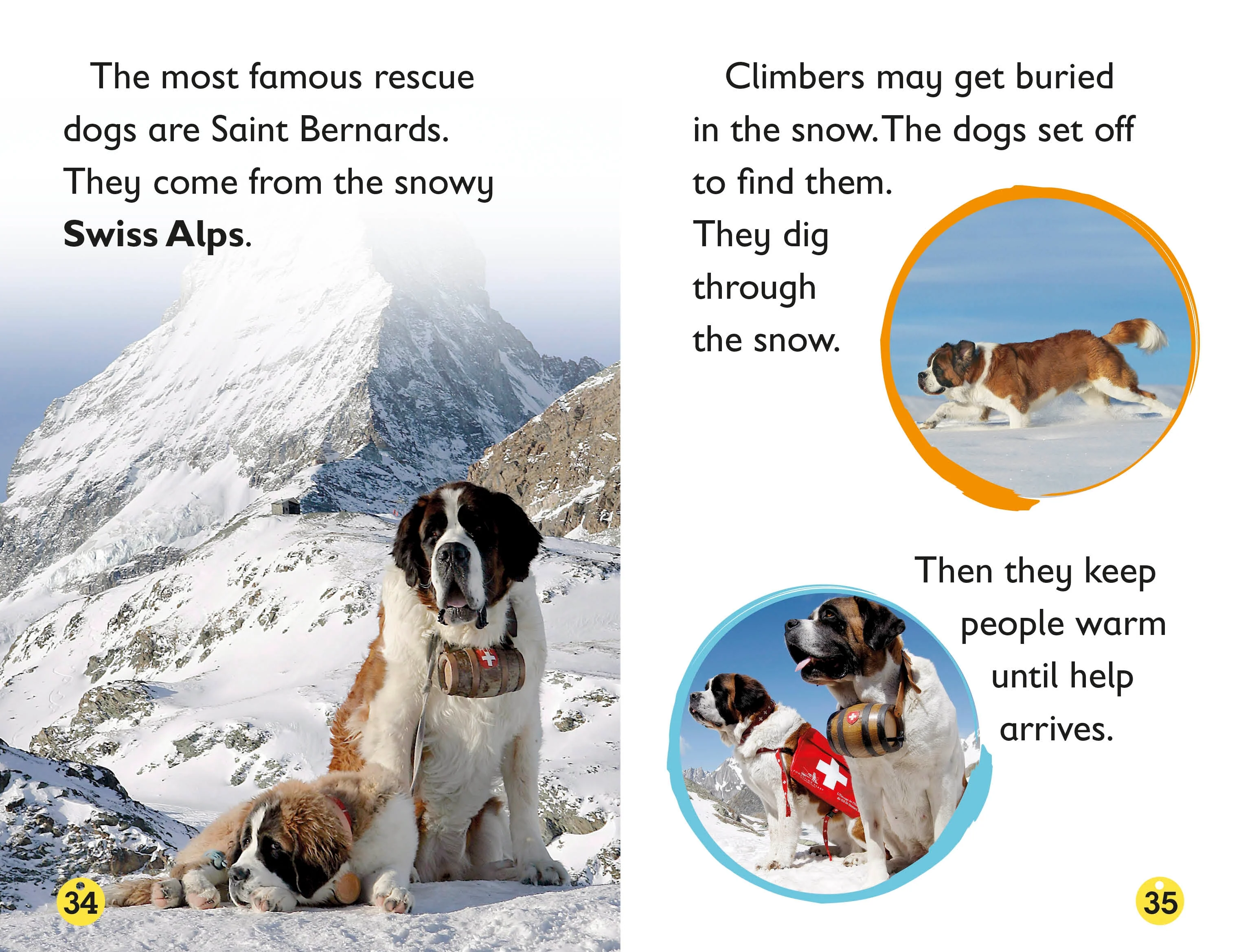 DK Readers L2: Amazing Dogs - Image 4