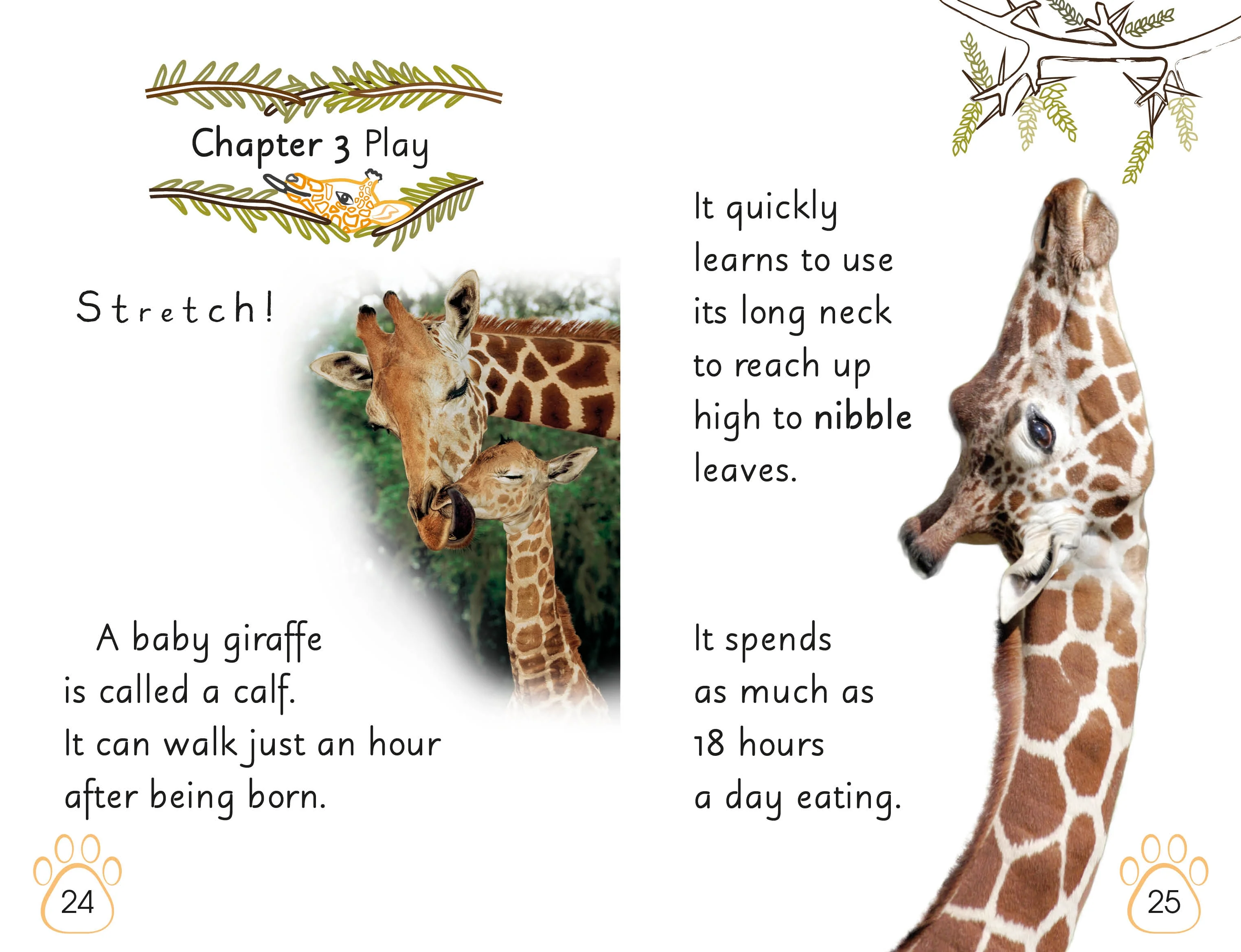 DK Readers L2: Wild Baby Animals - Image 4