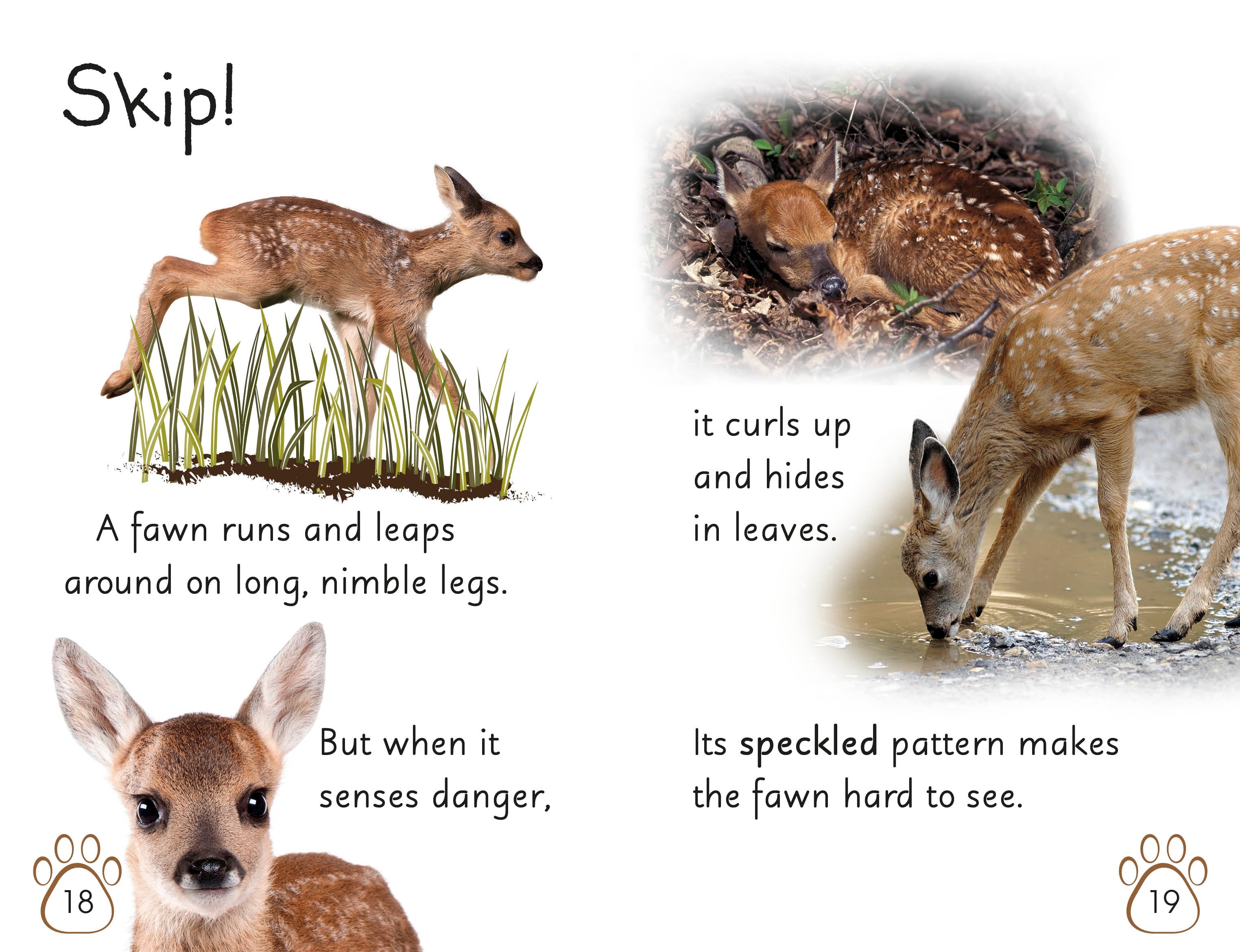 DK Readers L2: Wild Baby Animals - Image 6