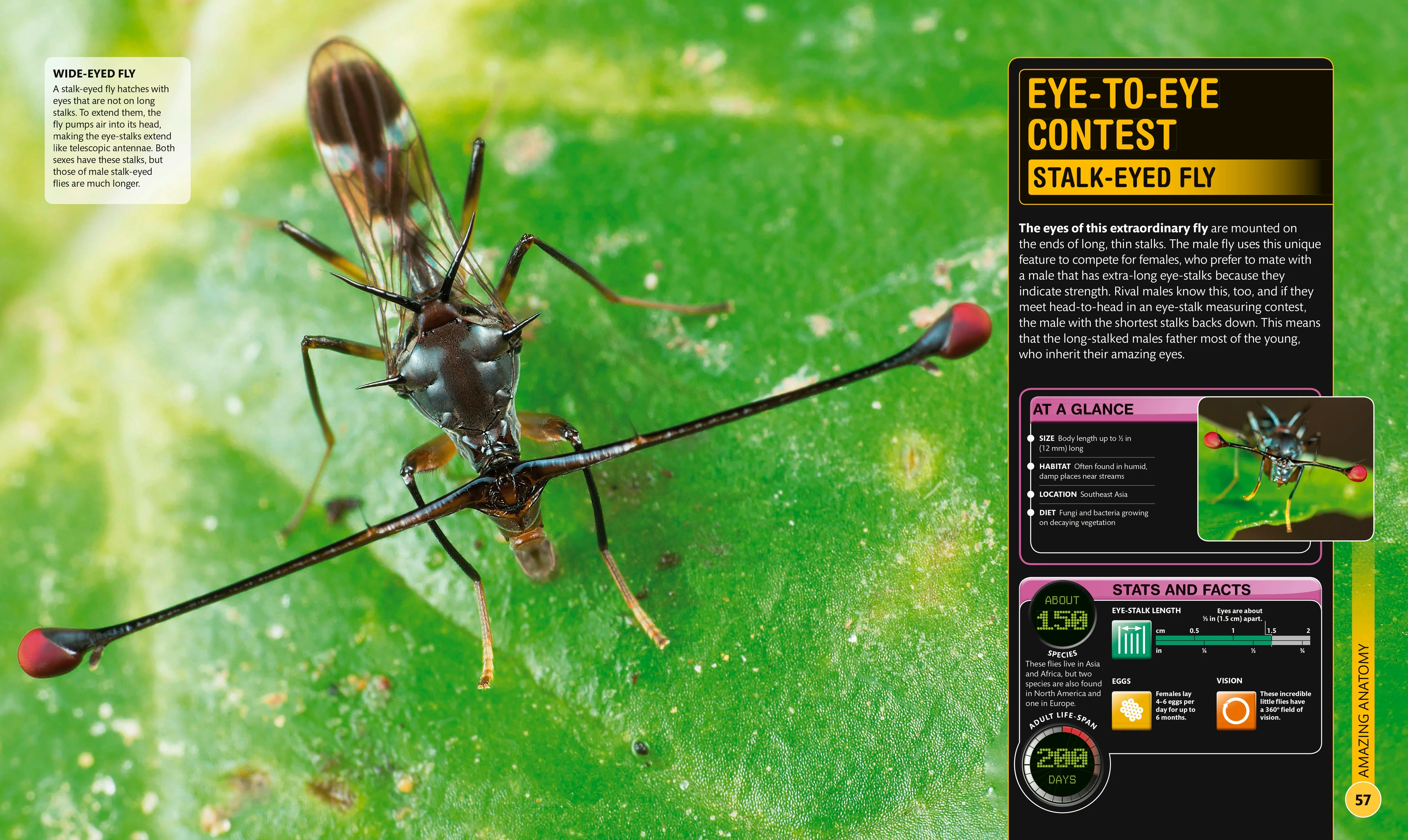 Super Bug Encyclopedia - Image 2