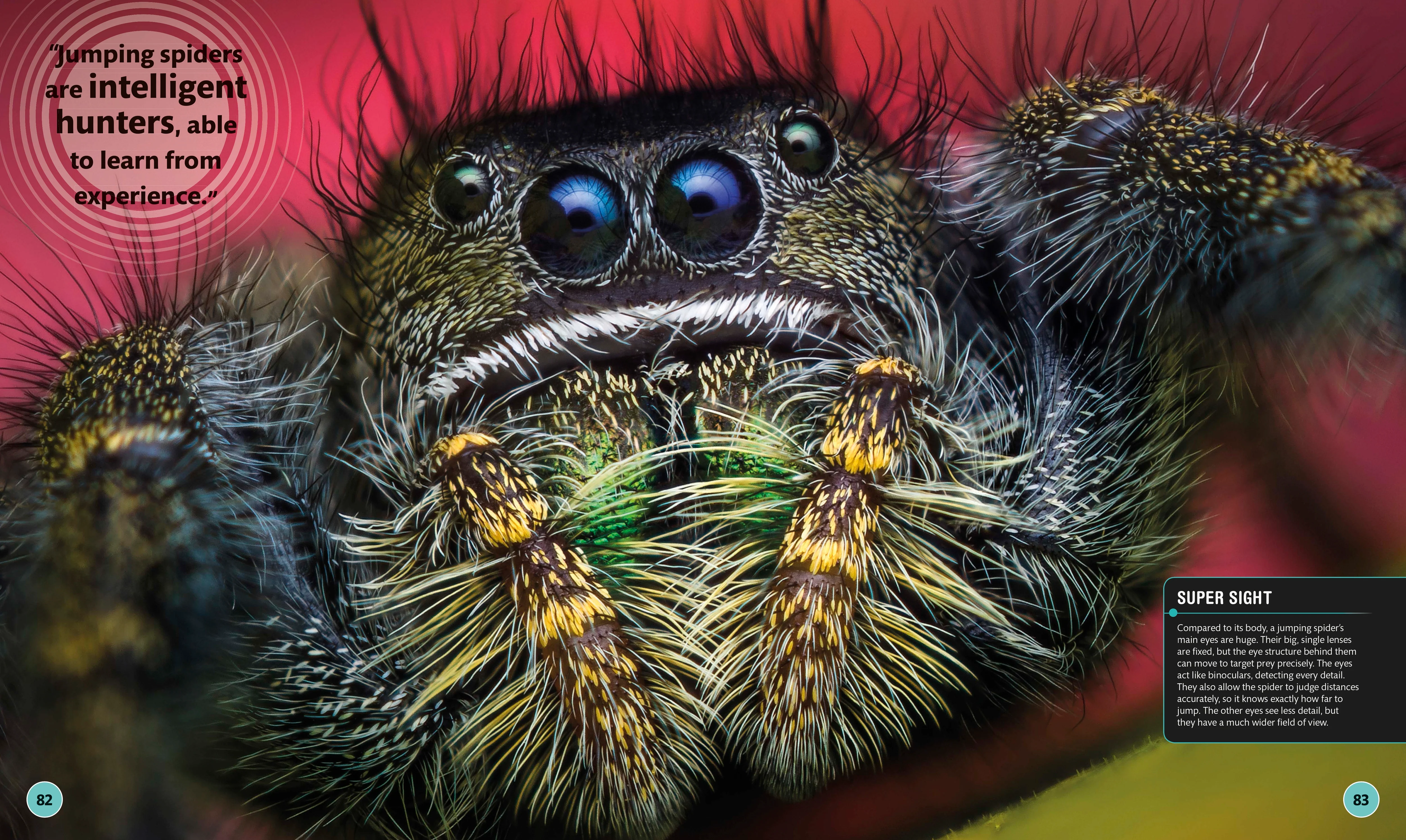 Super Bug Encyclopedia - Image 3