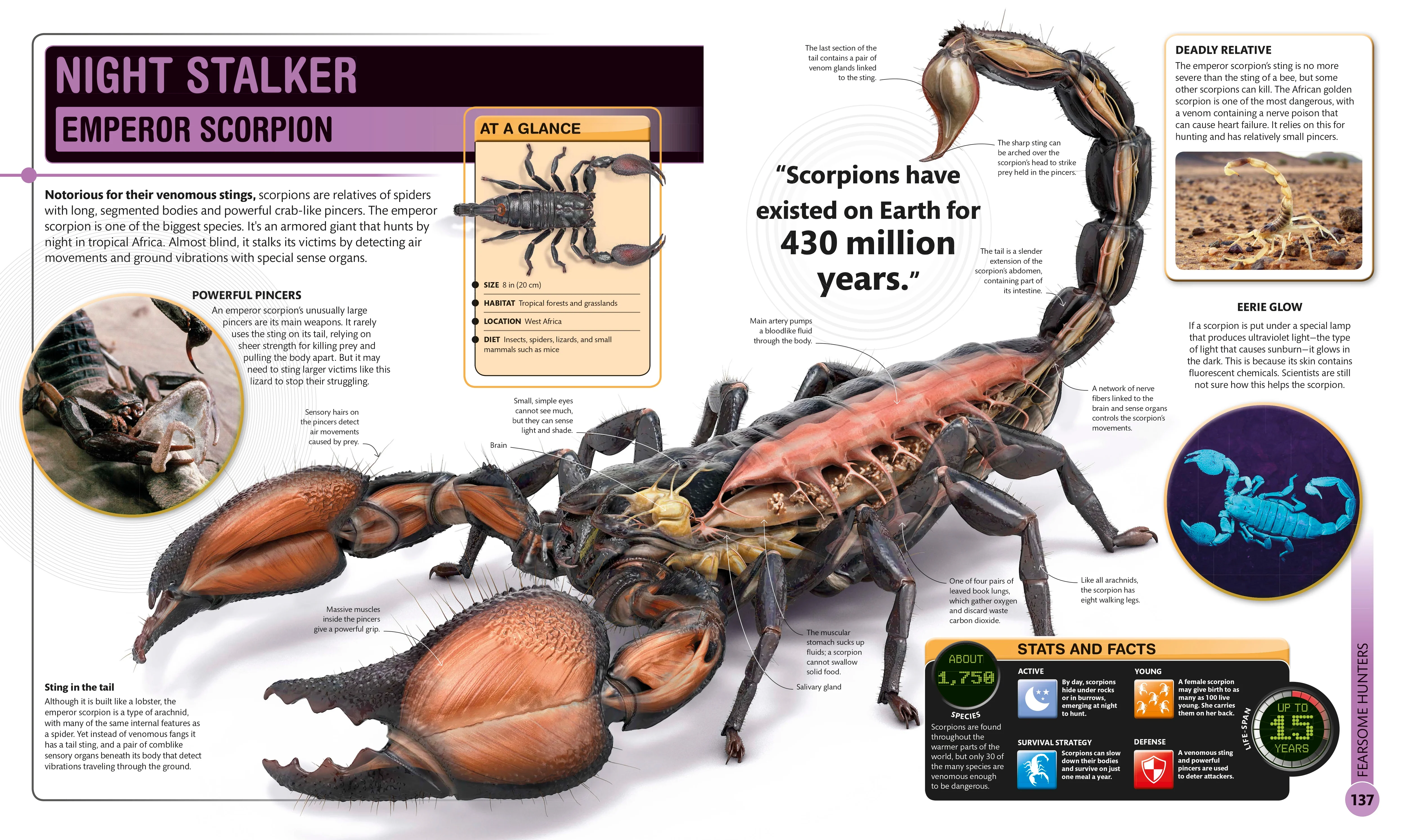 Super Bug Encyclopedia - Image 4