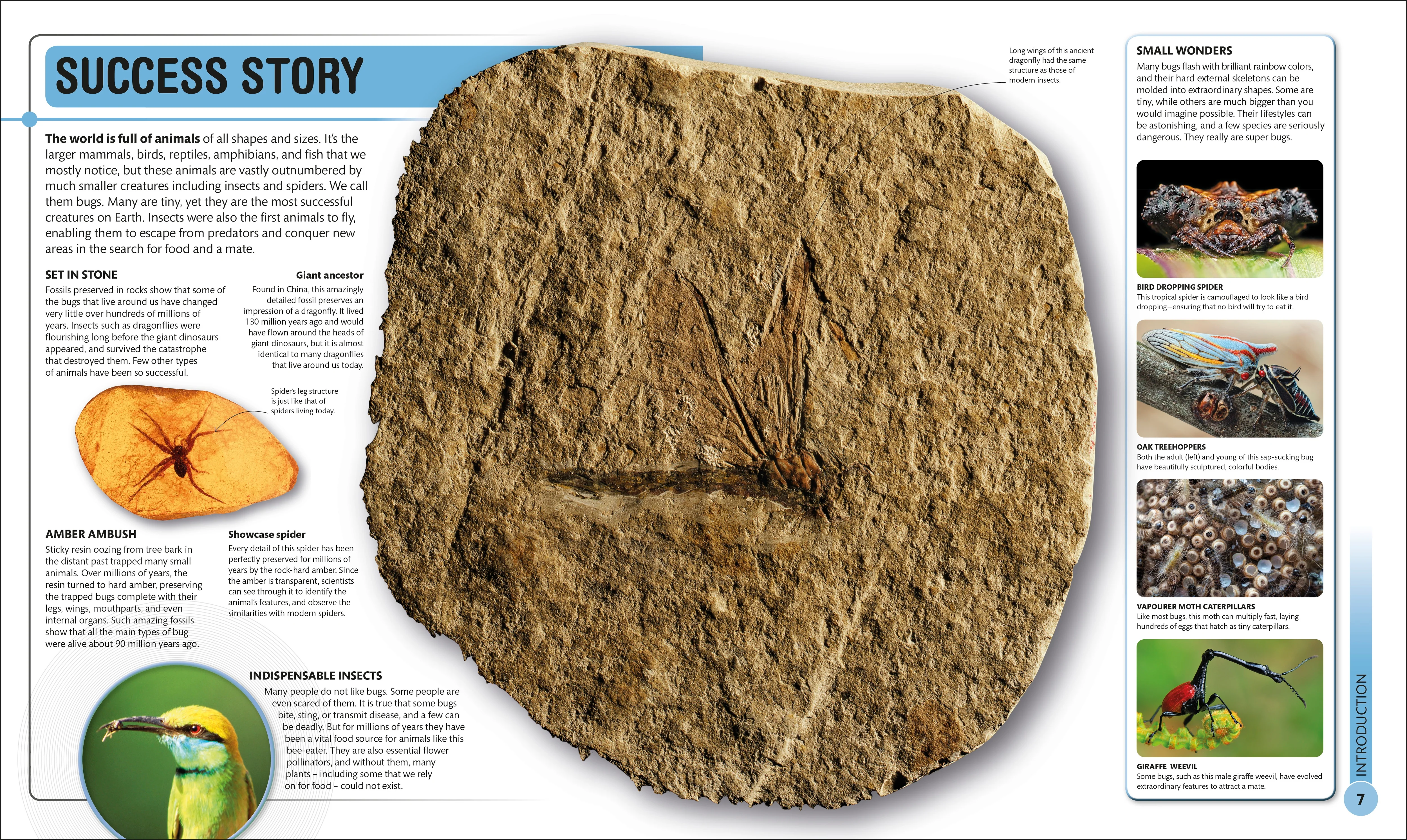 Super Bug Encyclopedia - Image 5