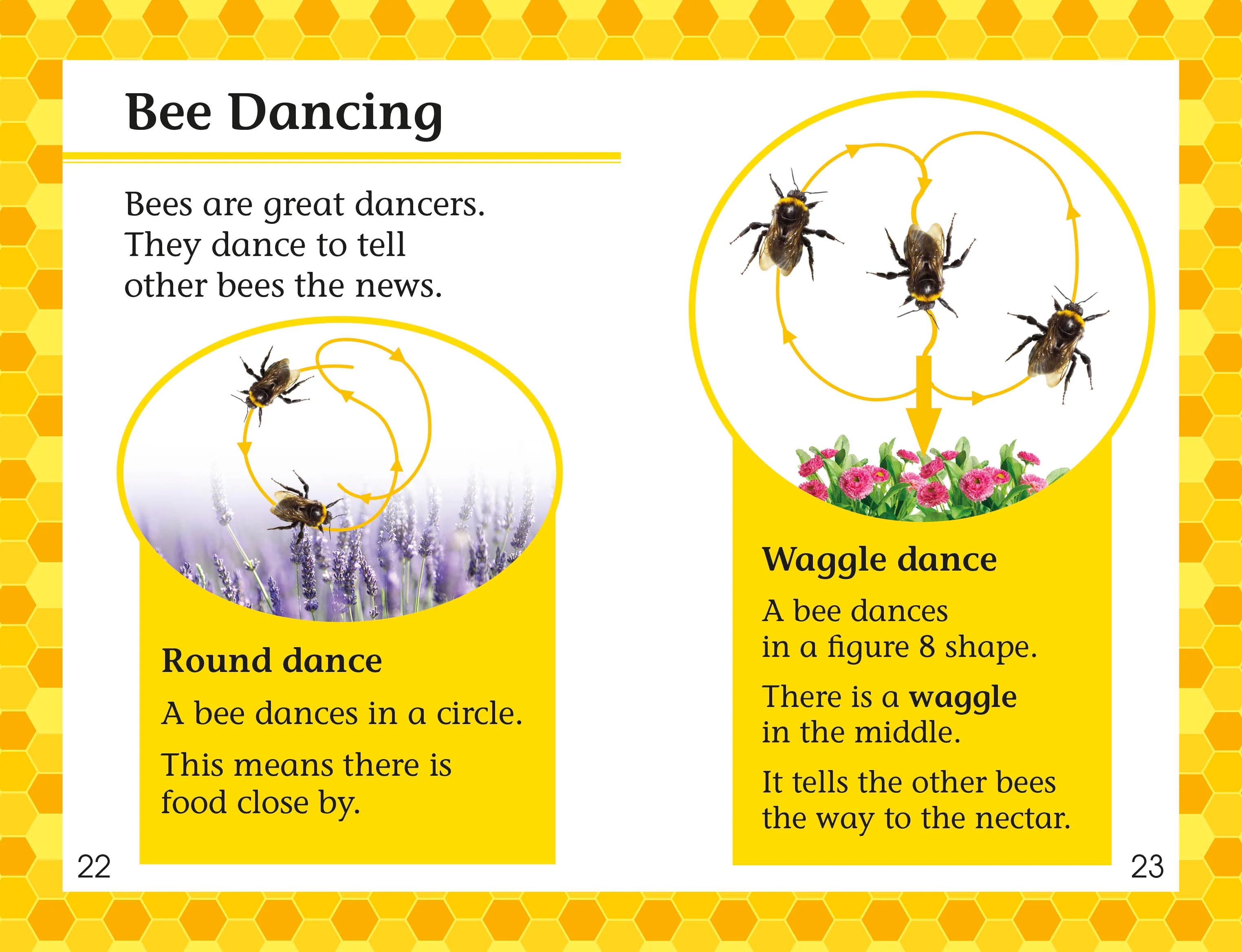 DK Readers L2: Amazing Bees - Image 3