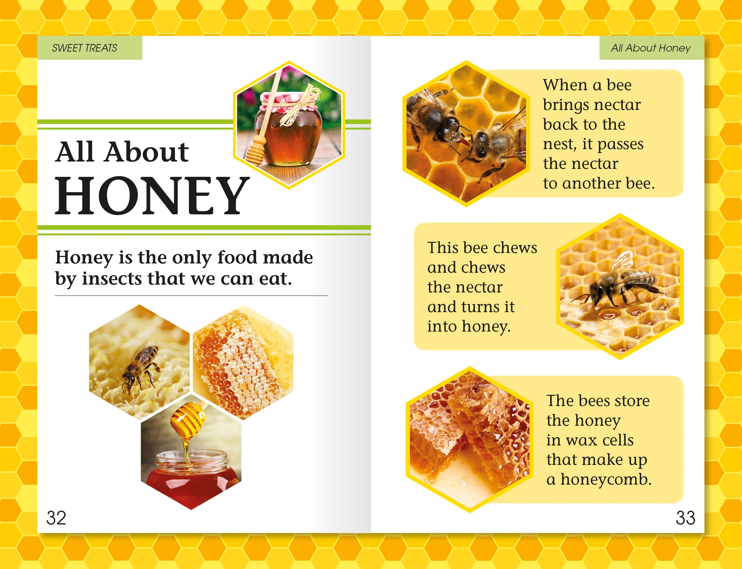 DK Readers L2: Amazing Bees - Image 5