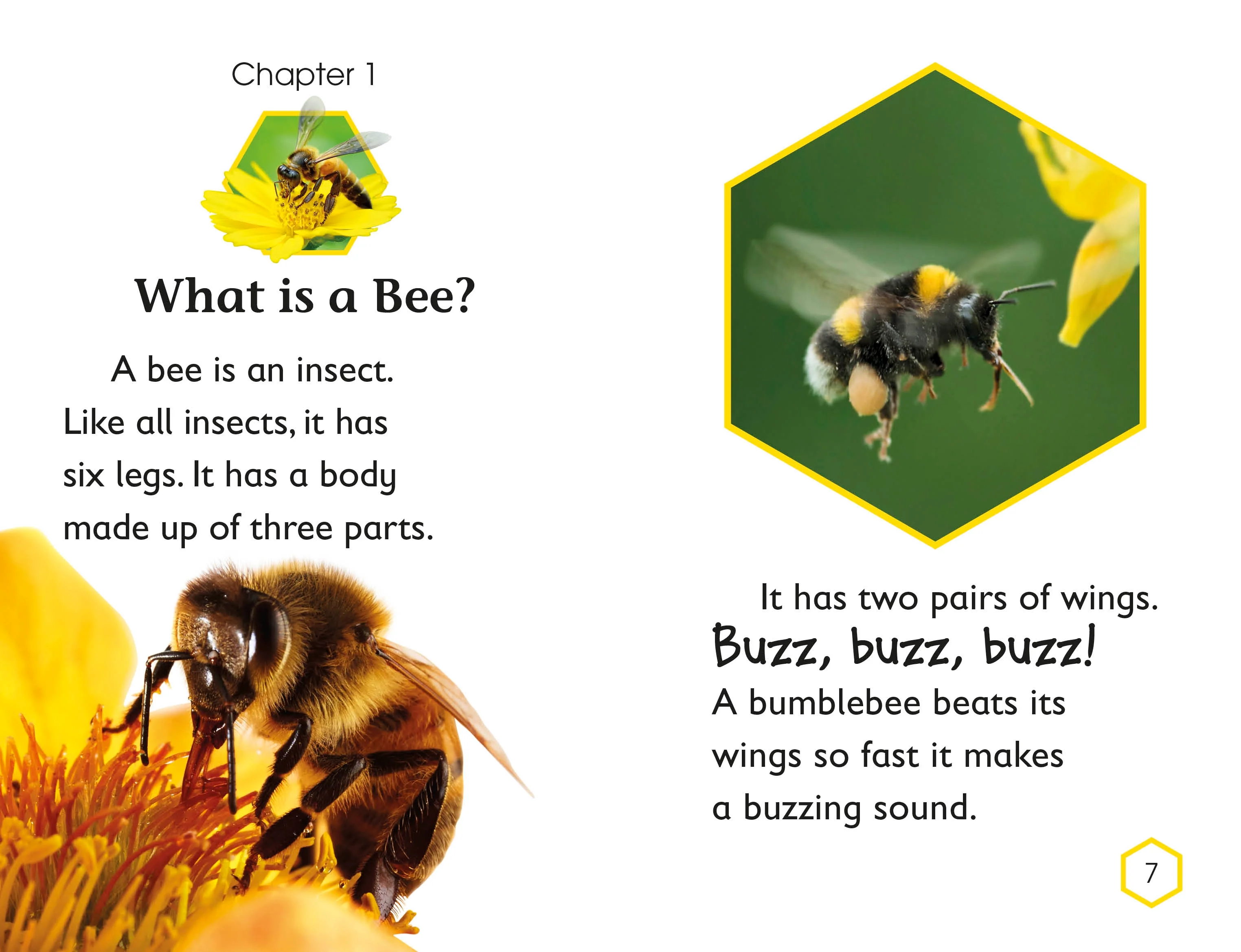 DK Readers L2: Amazing Bees - Image 6