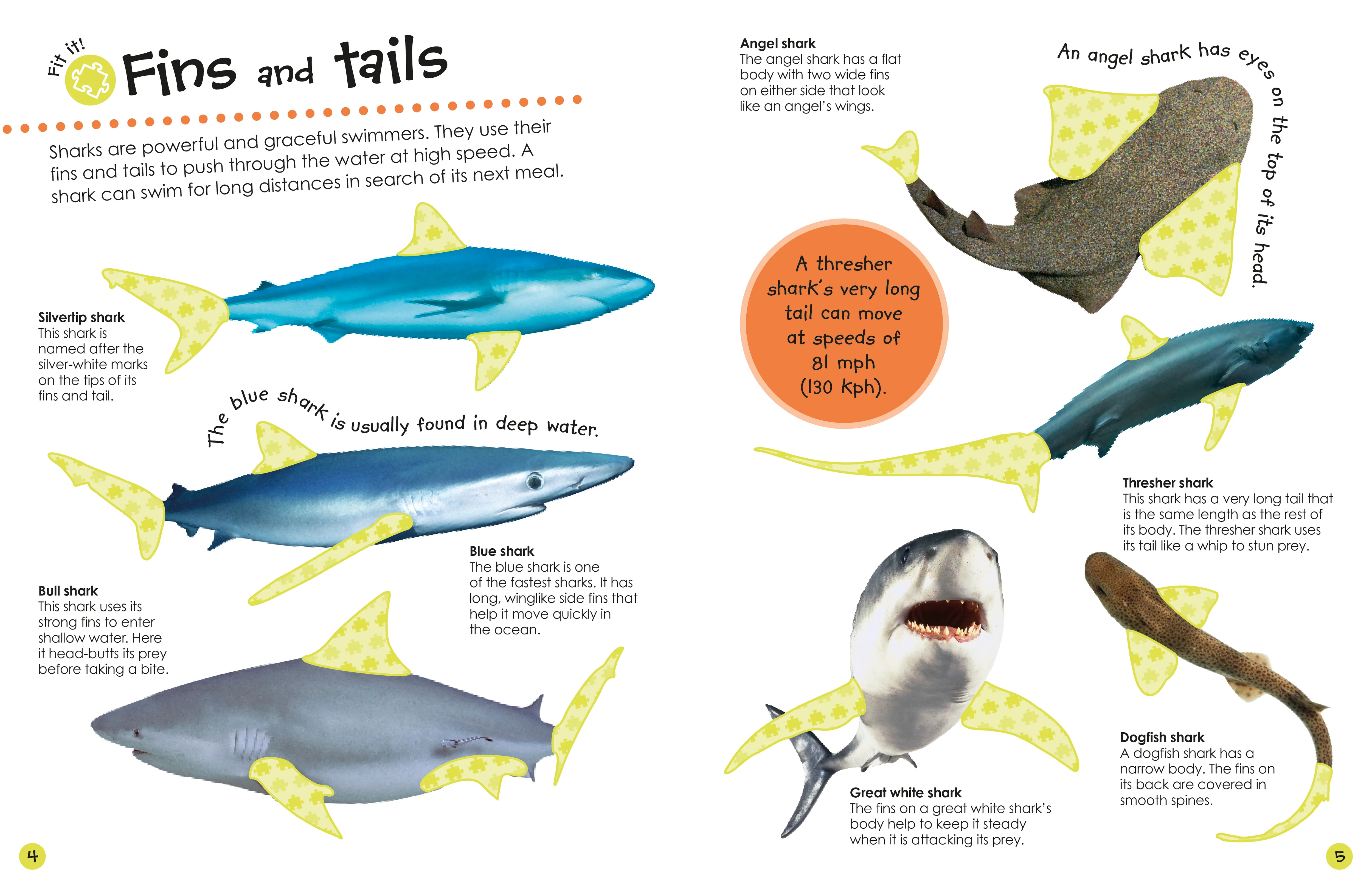 Ultimate Sticker Book: Sharks - Image 2