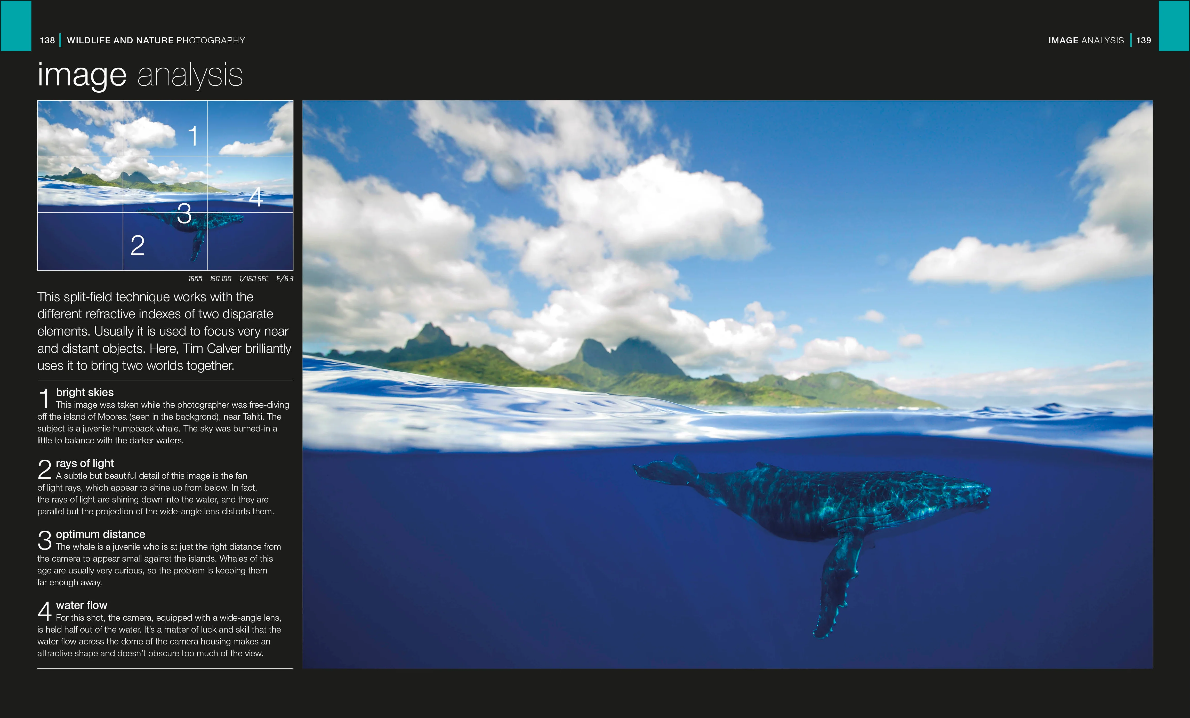 The Complete Photographer - Image 3