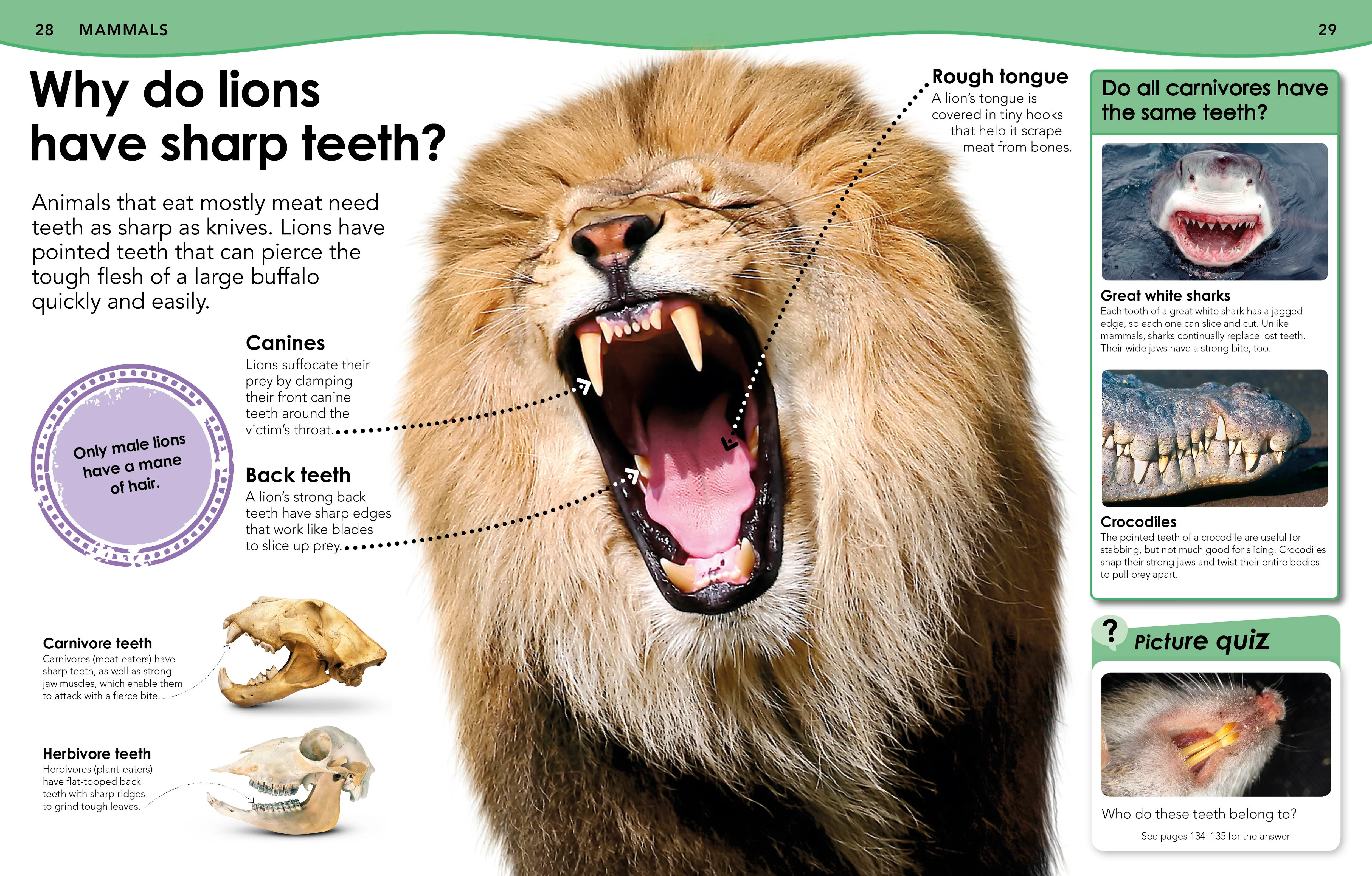 Did You Know? Animals - Image 2