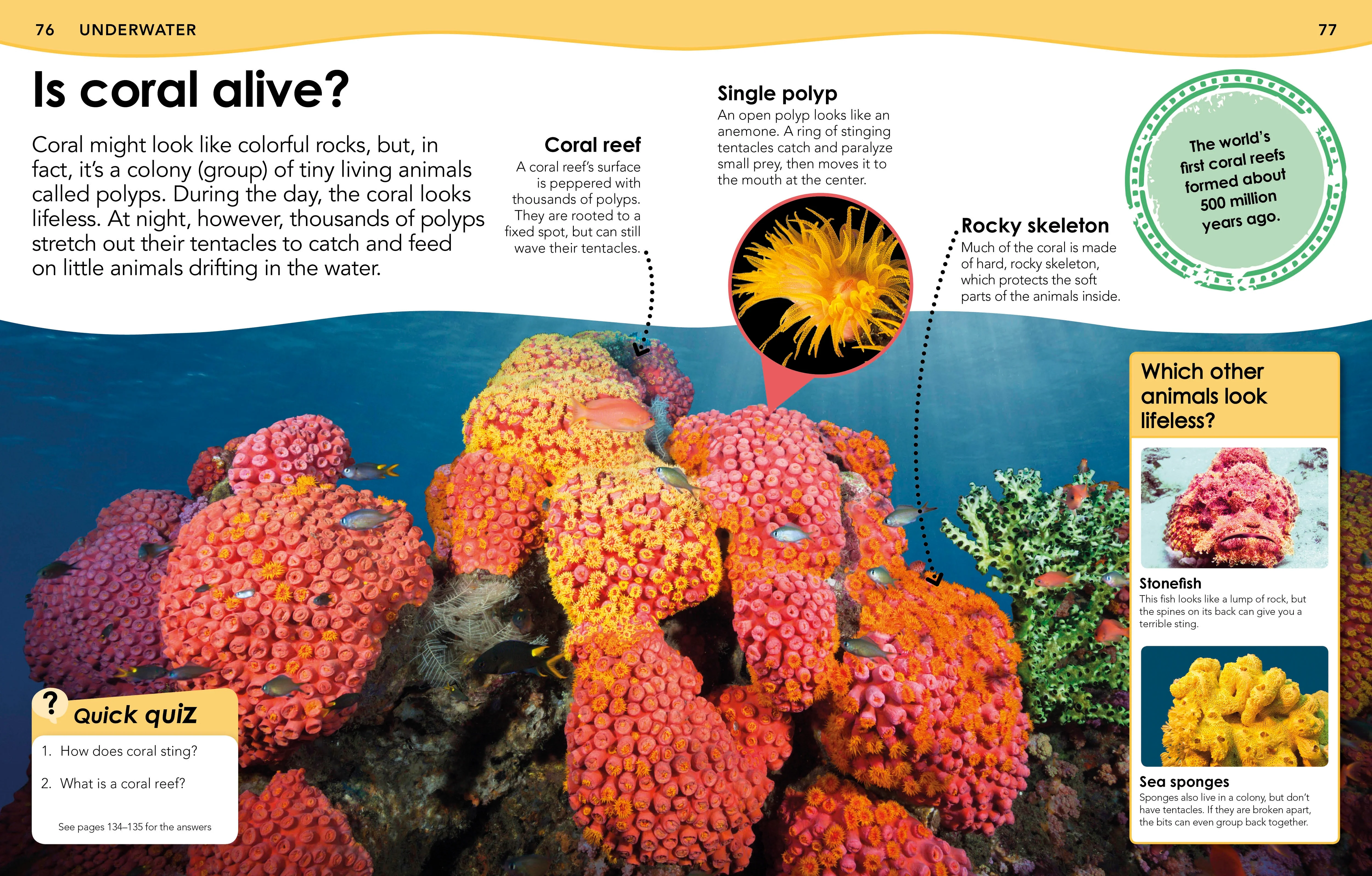 Did You Know? Animals - Image 4