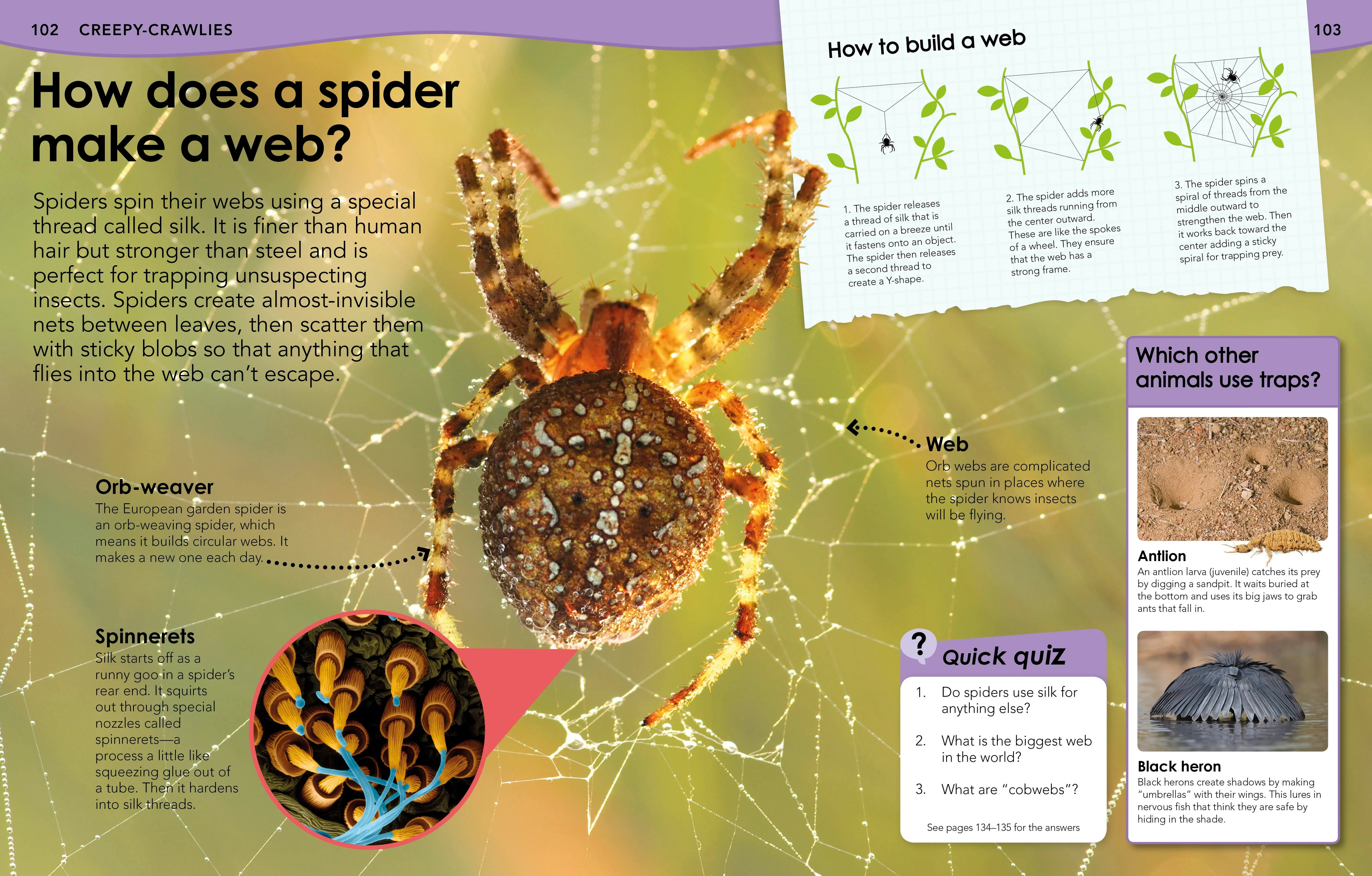 Did You Know? Animals - Image 5